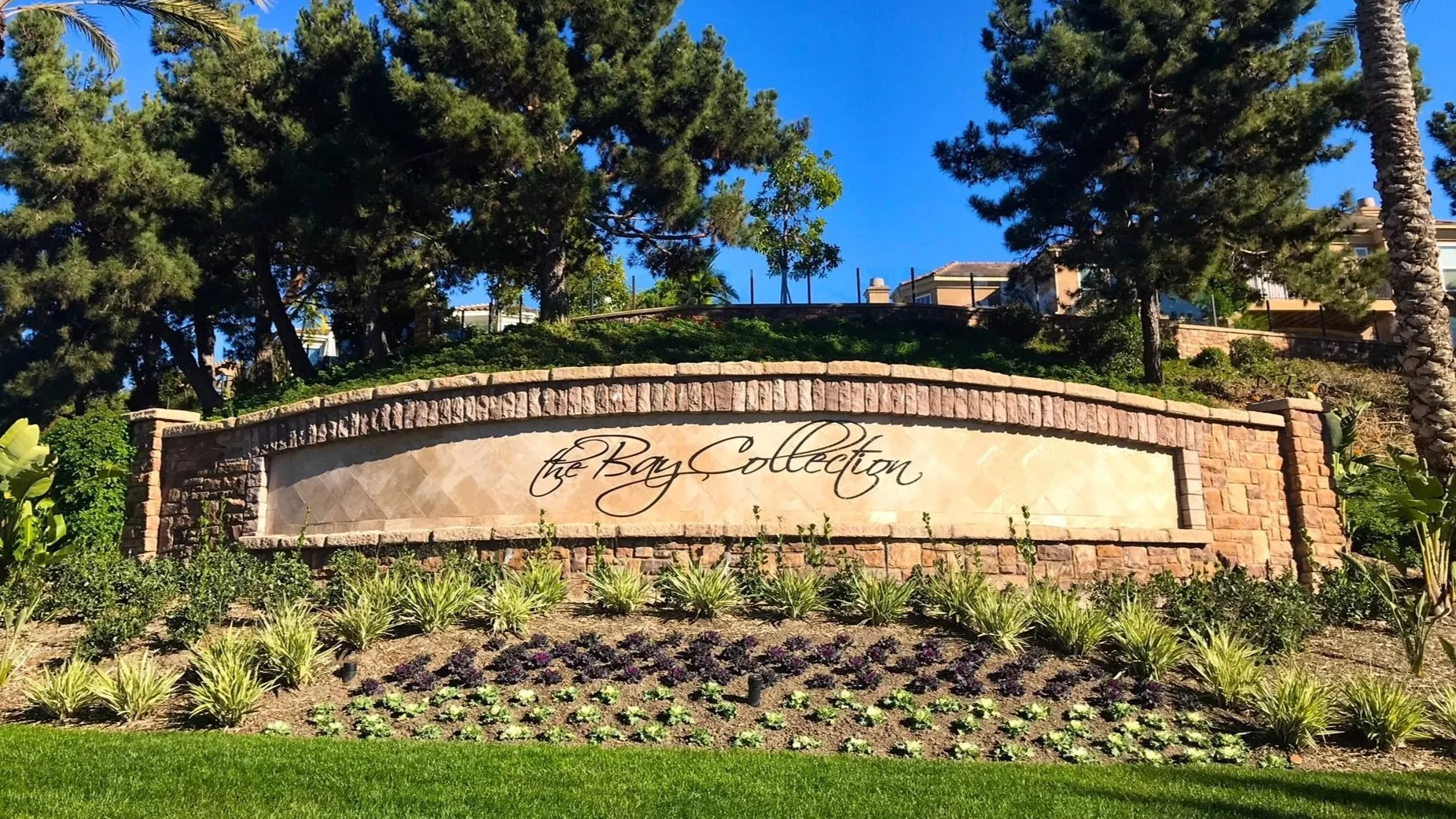 Living in The Bay Collection — Carlsbad's Best Kept Coastal Secret