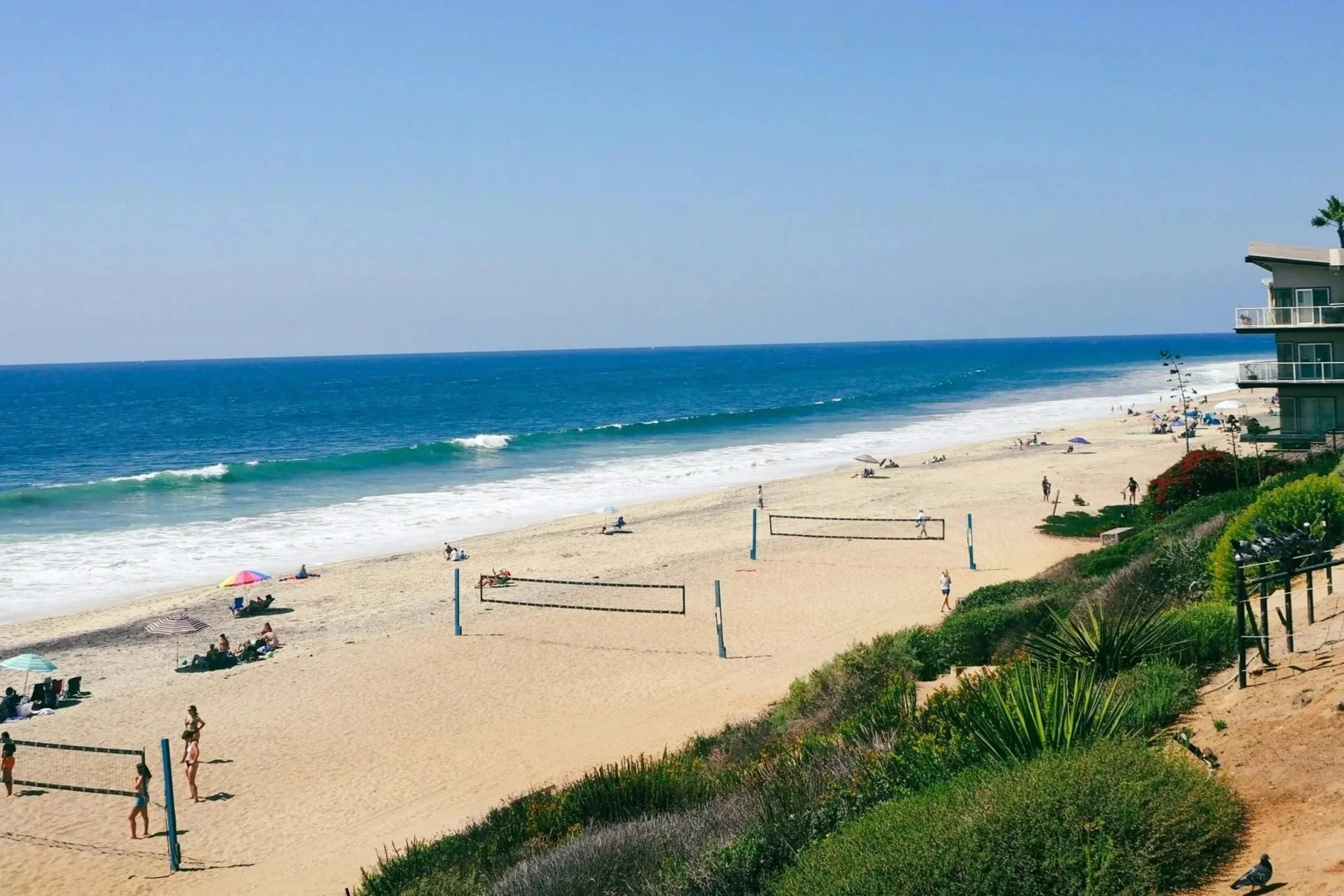 Beach with people lounging under umbrellas, playing volleyball, and walking along the sand. The ocean with waves in the background and a modern hotel building on the right side. Green shrubbery and plants in the foreground.