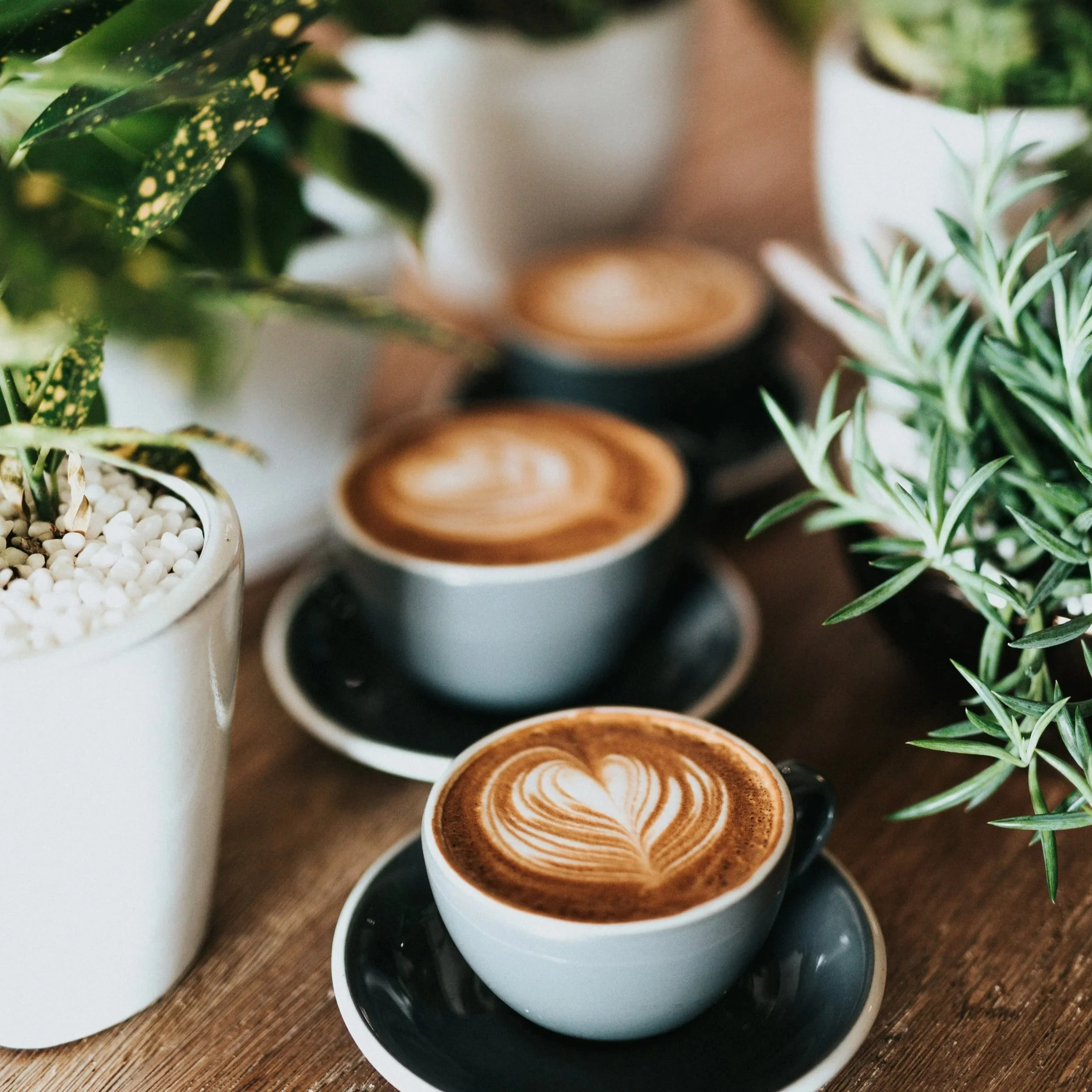 Top Coffee Shops & Cafes