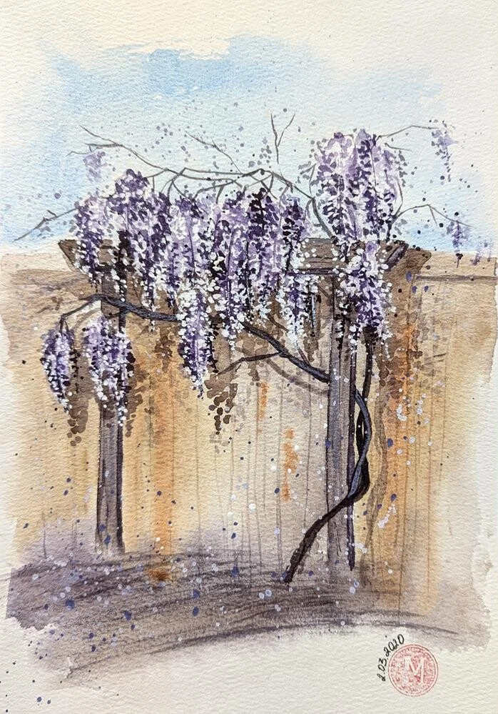 Backyard Wisteria • watercolor • 7x10" • available