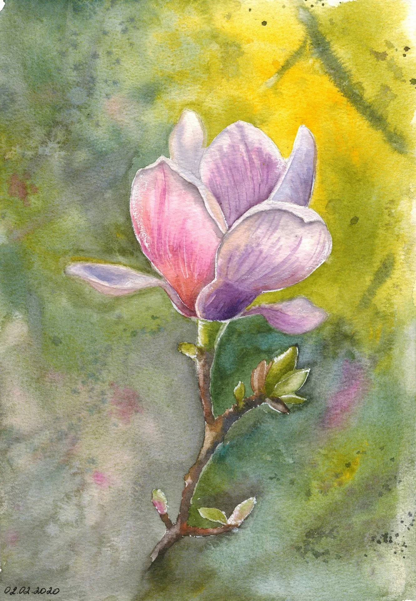 Magnolia • watercolor • 7x10" • in private collection