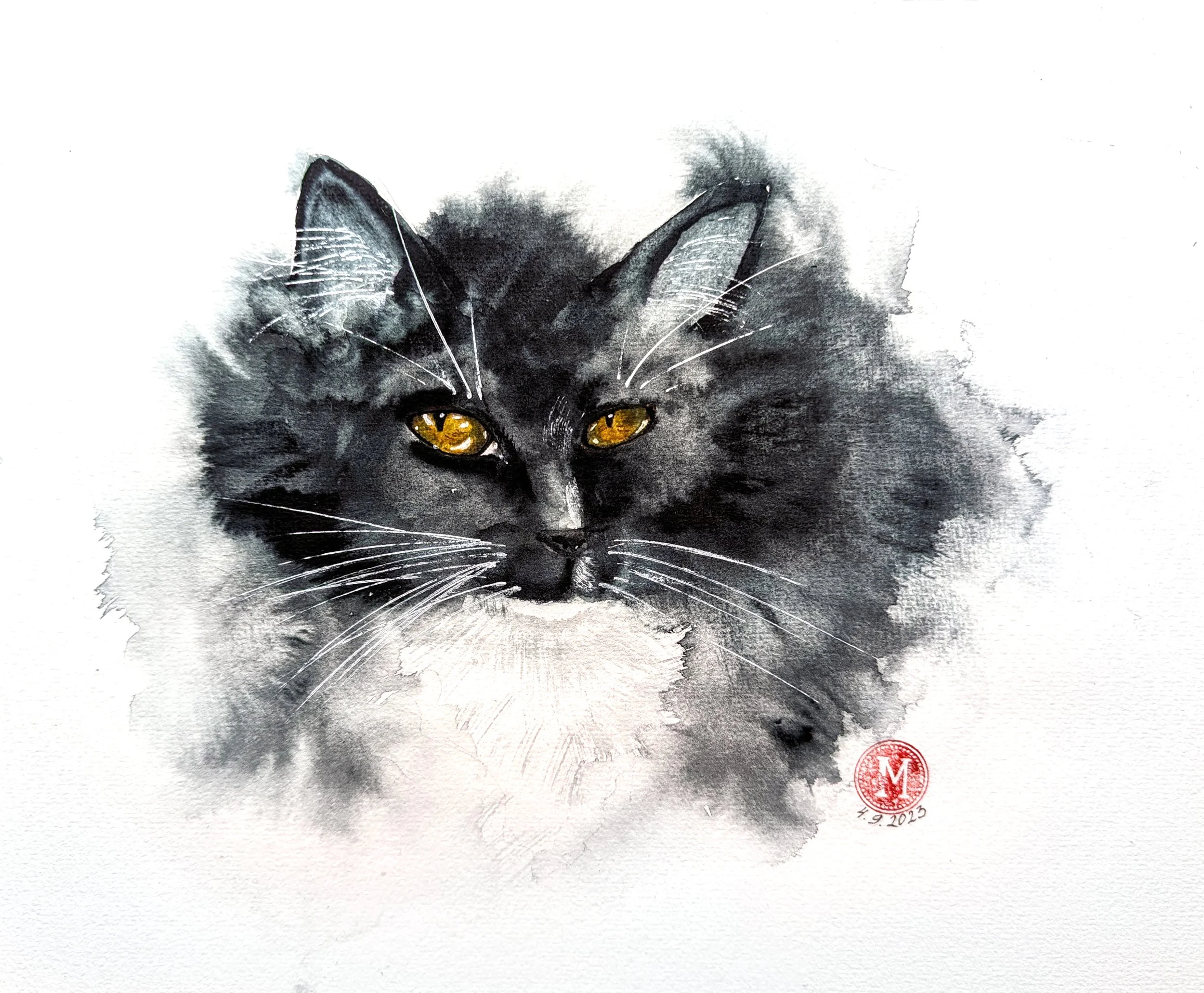 Black Cat • watercolor • 12x9" • available
