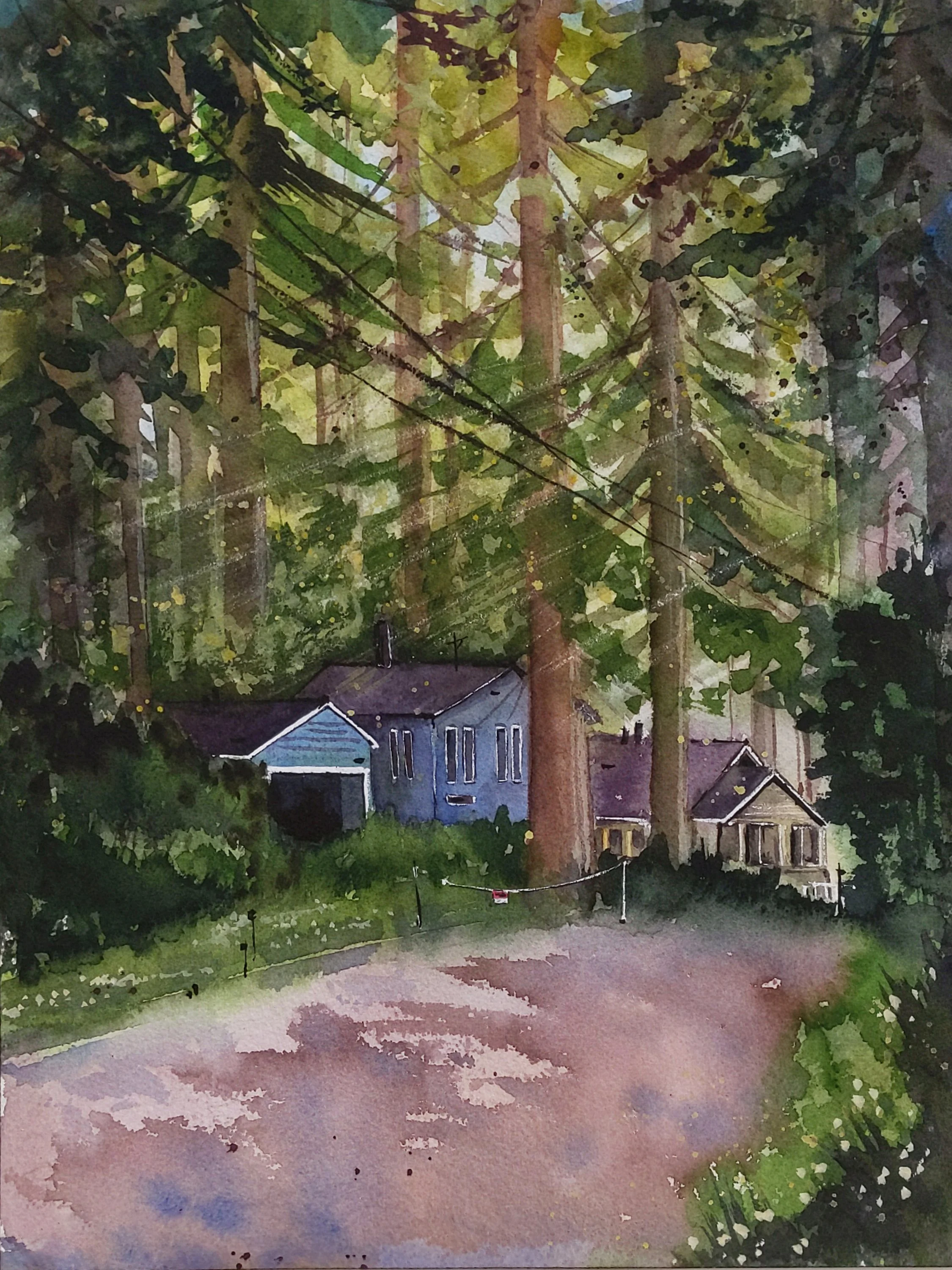 Redwood Serenity • watercolor • 9x12" • in private collection