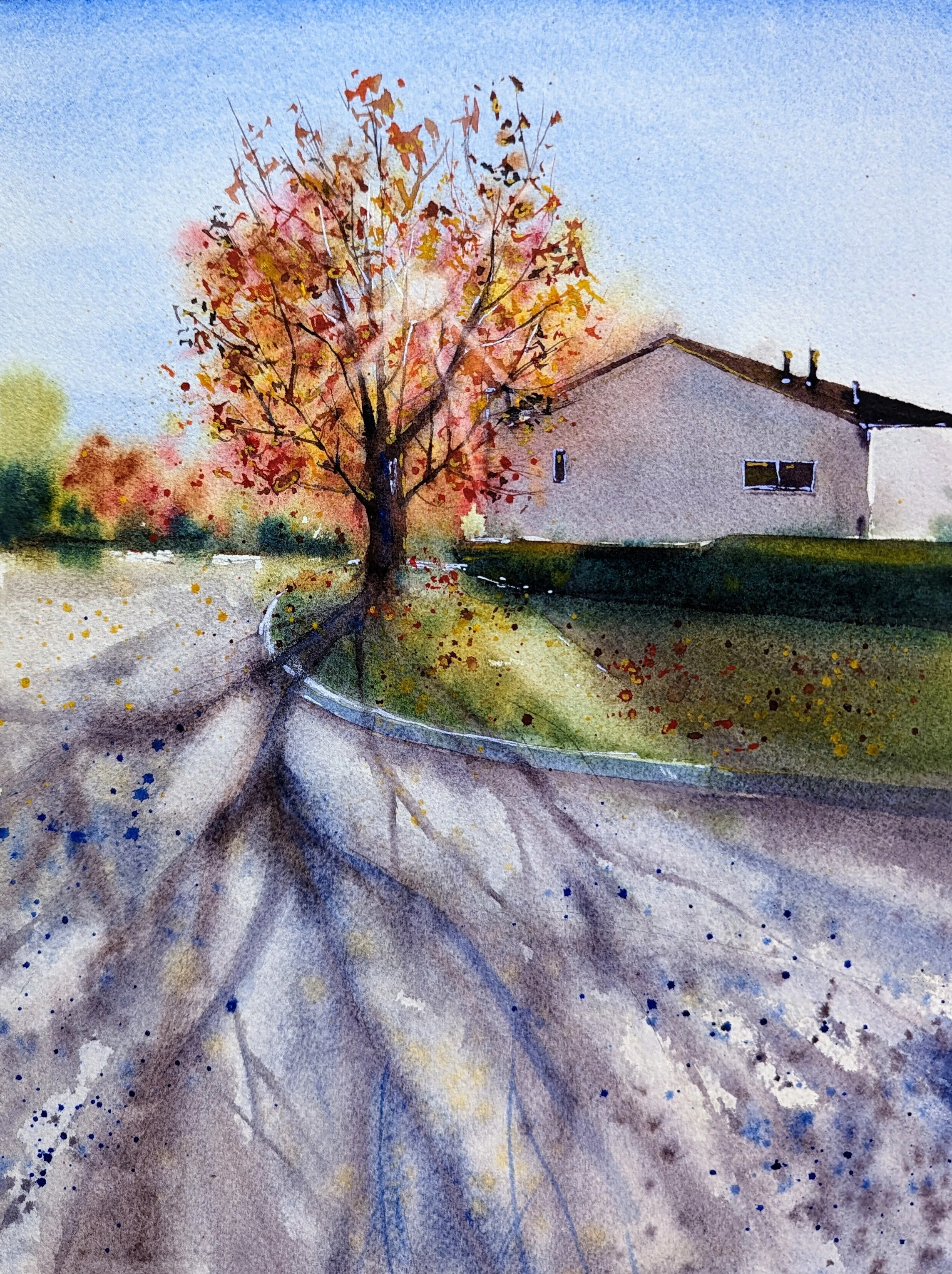 Afternoon Light • watercolor • 9x12" • available