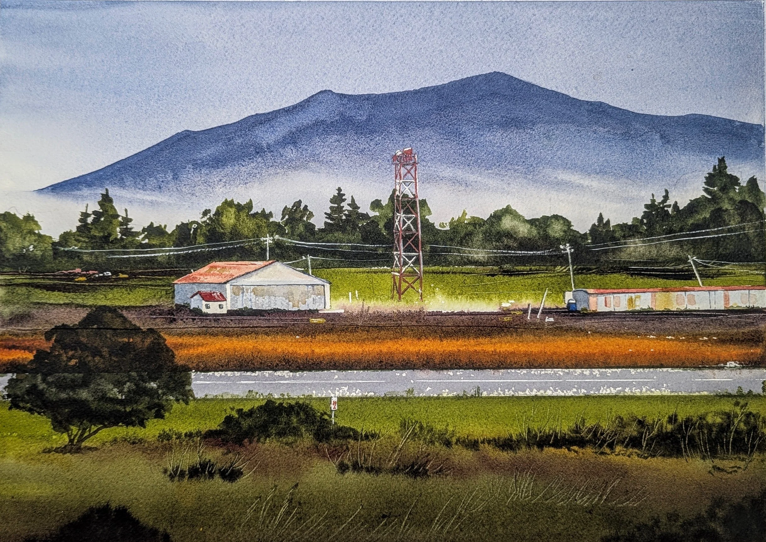Coastal Farm • watercolor • 10x14" • available