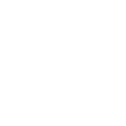 icon of shield with check mark