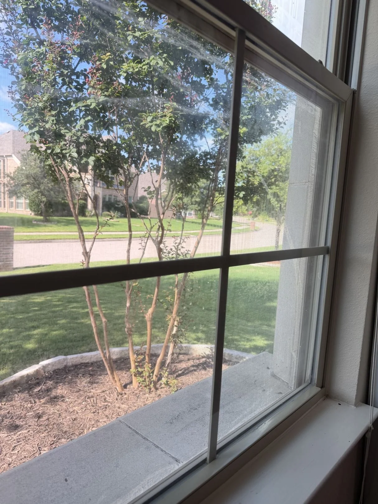 Clean residential window after professional cleaning in Frisco, Tx