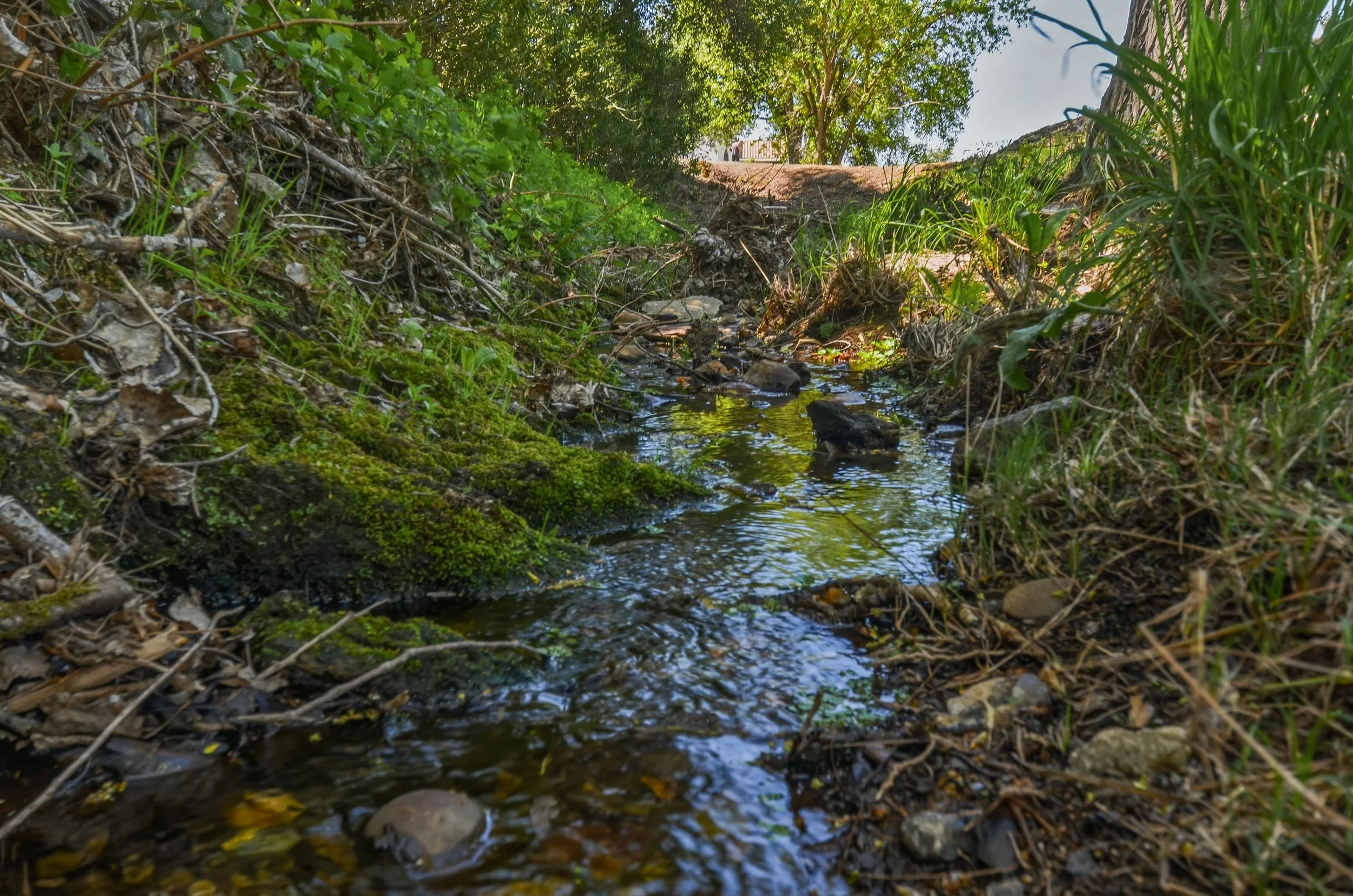 20-320 Gopher Flat , Sutter Creek CA-76.jpg