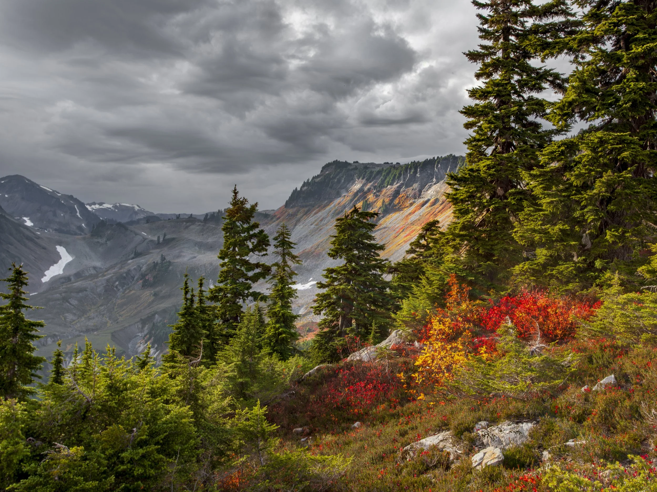 _MG_3468-2.jpg