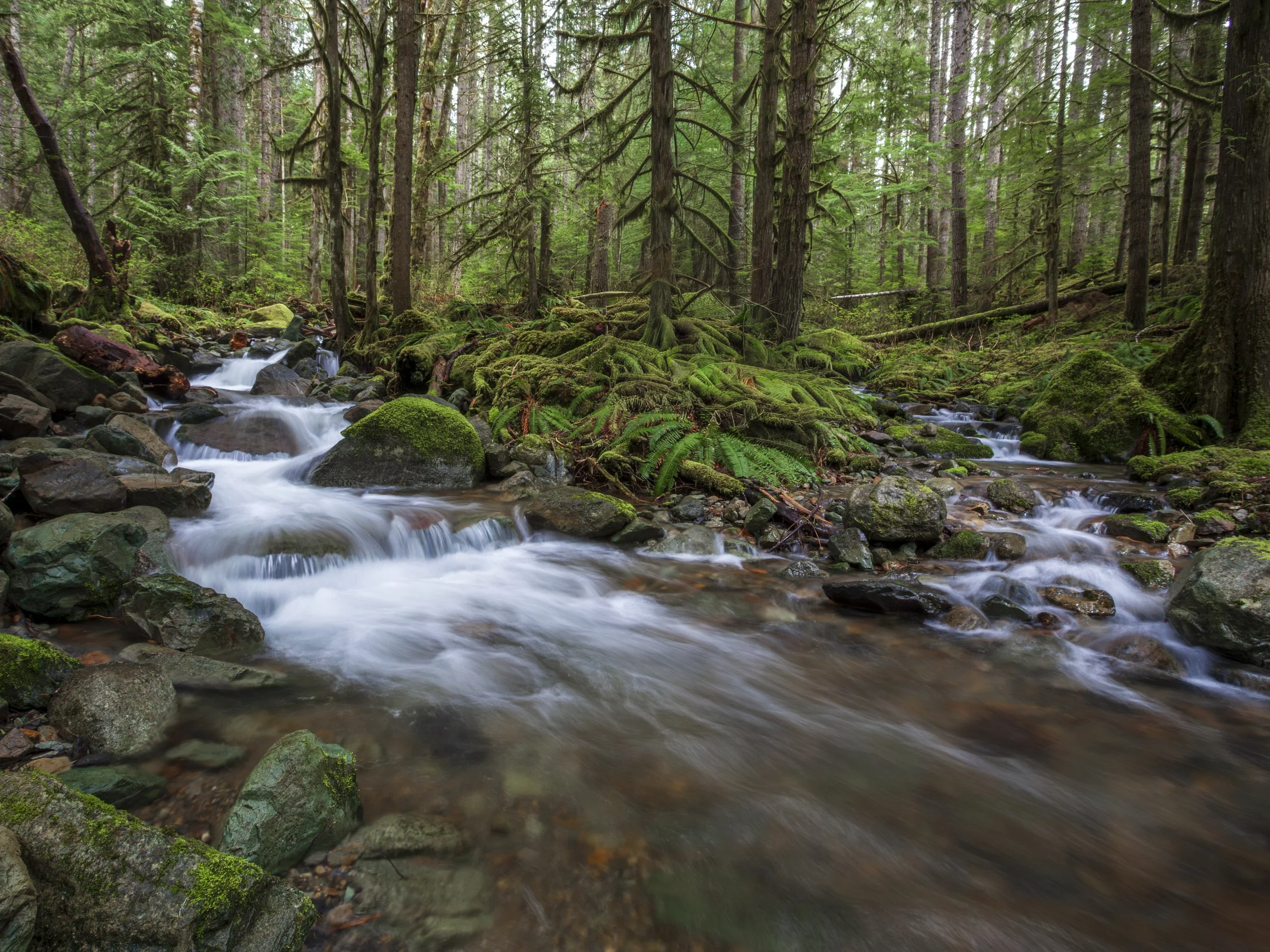 _MG_5006.jpg