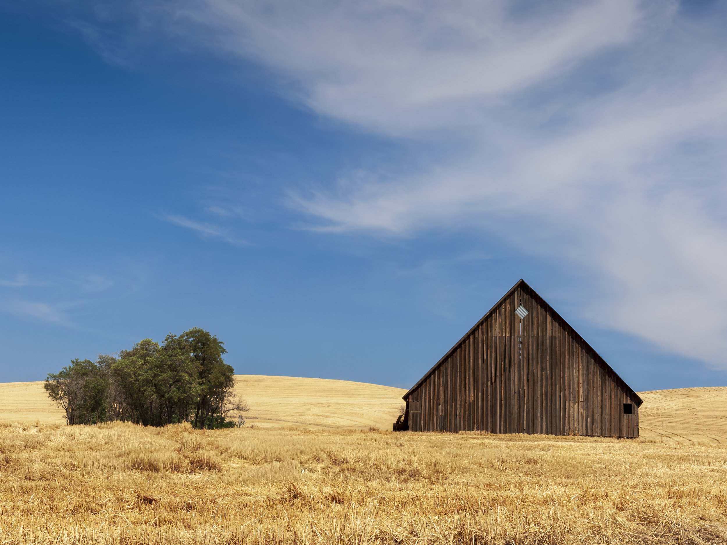The future of landscape photography