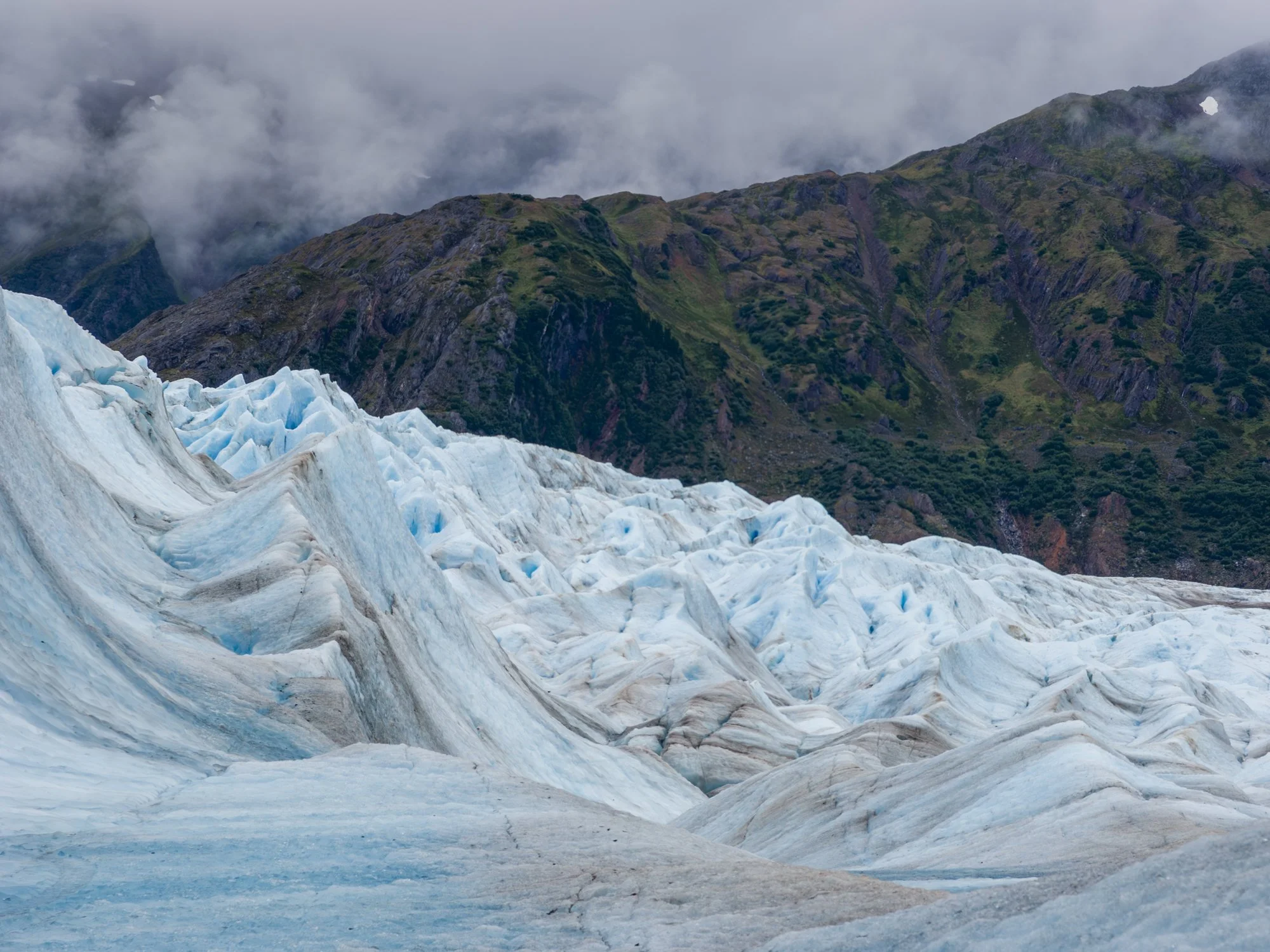 Photography of intimate and overlooked landscapes.
