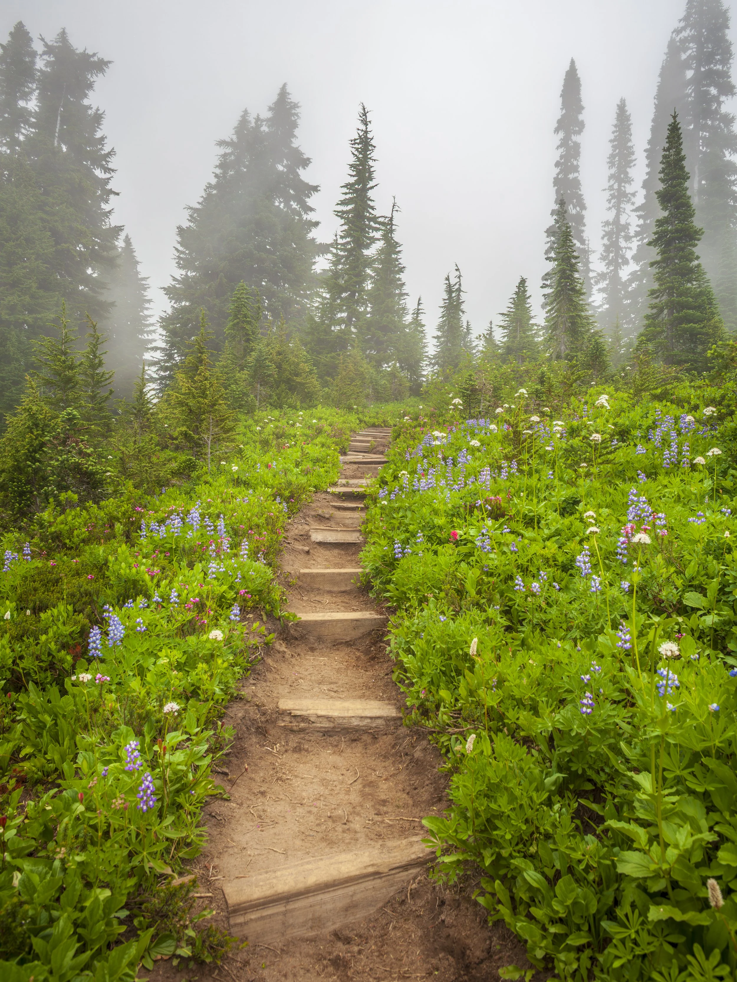 _MG_2576.jpg