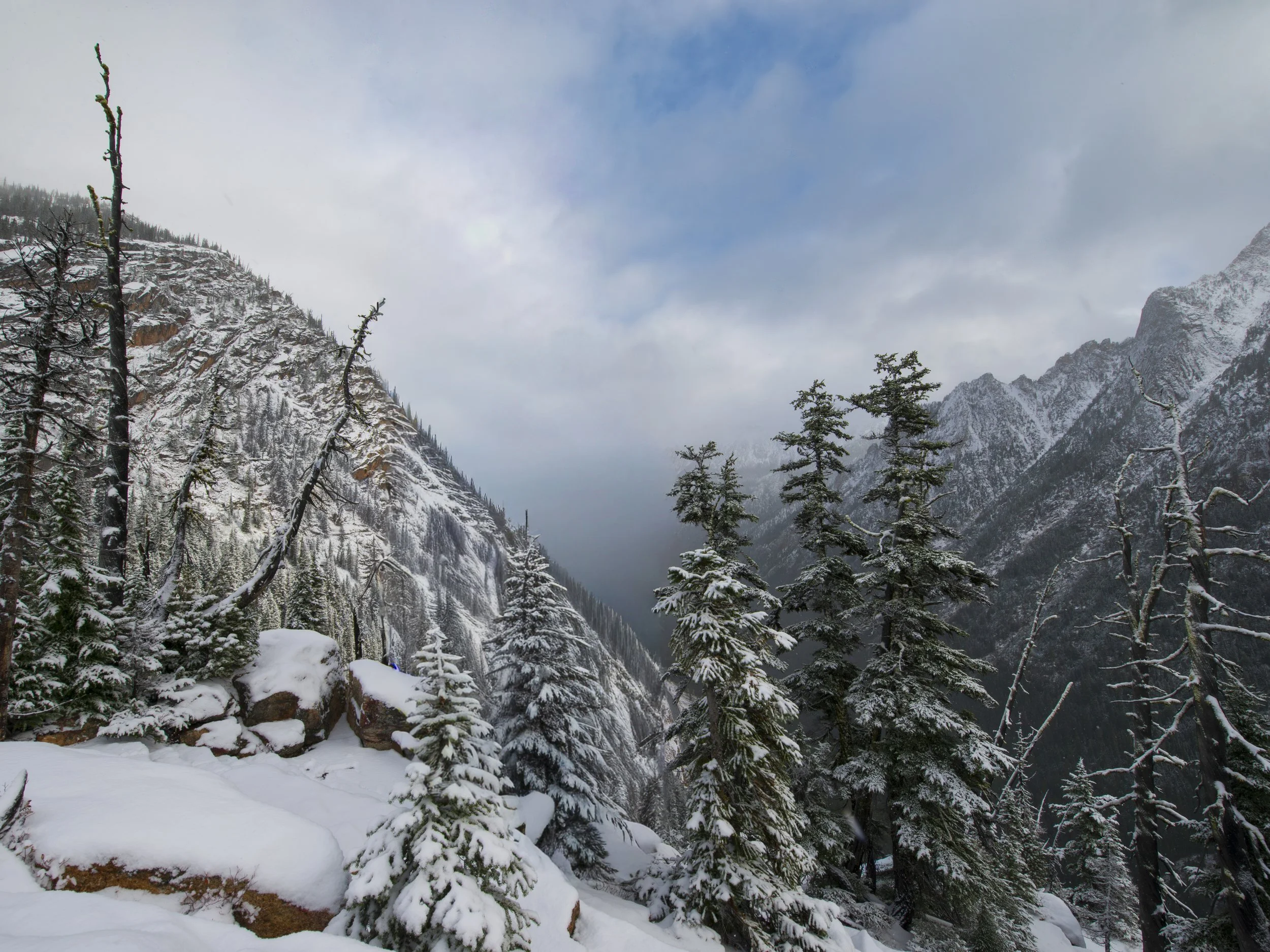 _DSC2957.jpg