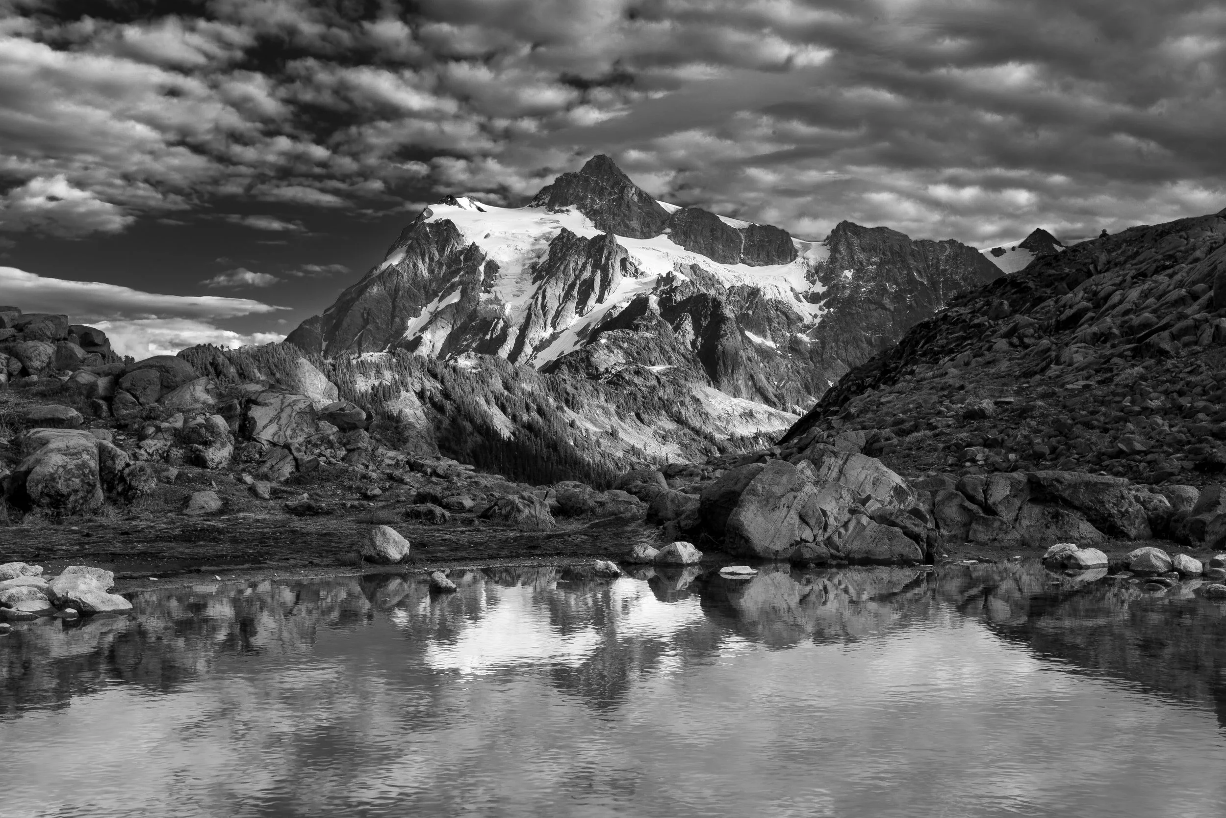 _MG_3458.jpg