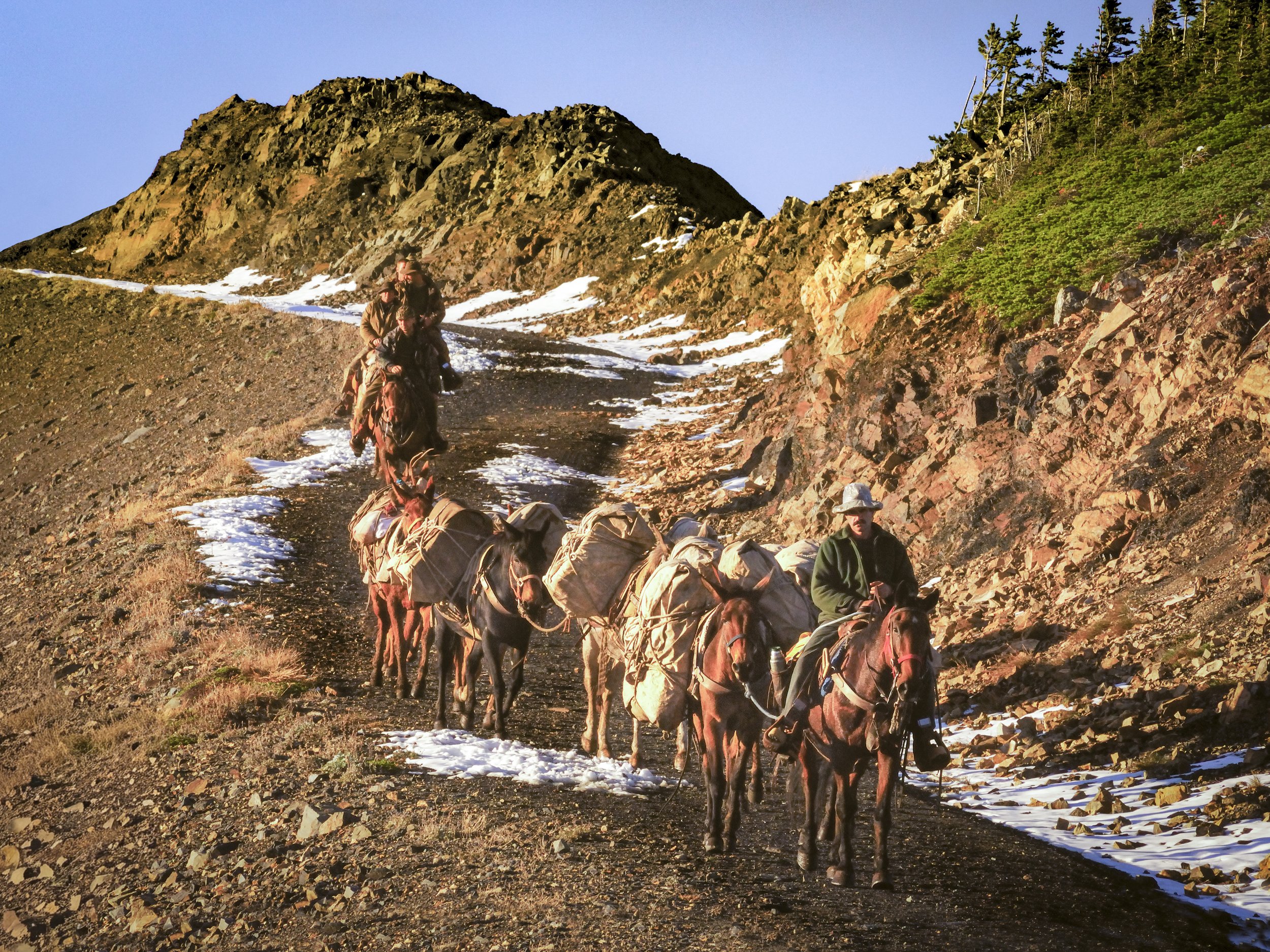 Pack Horses4.jpg
