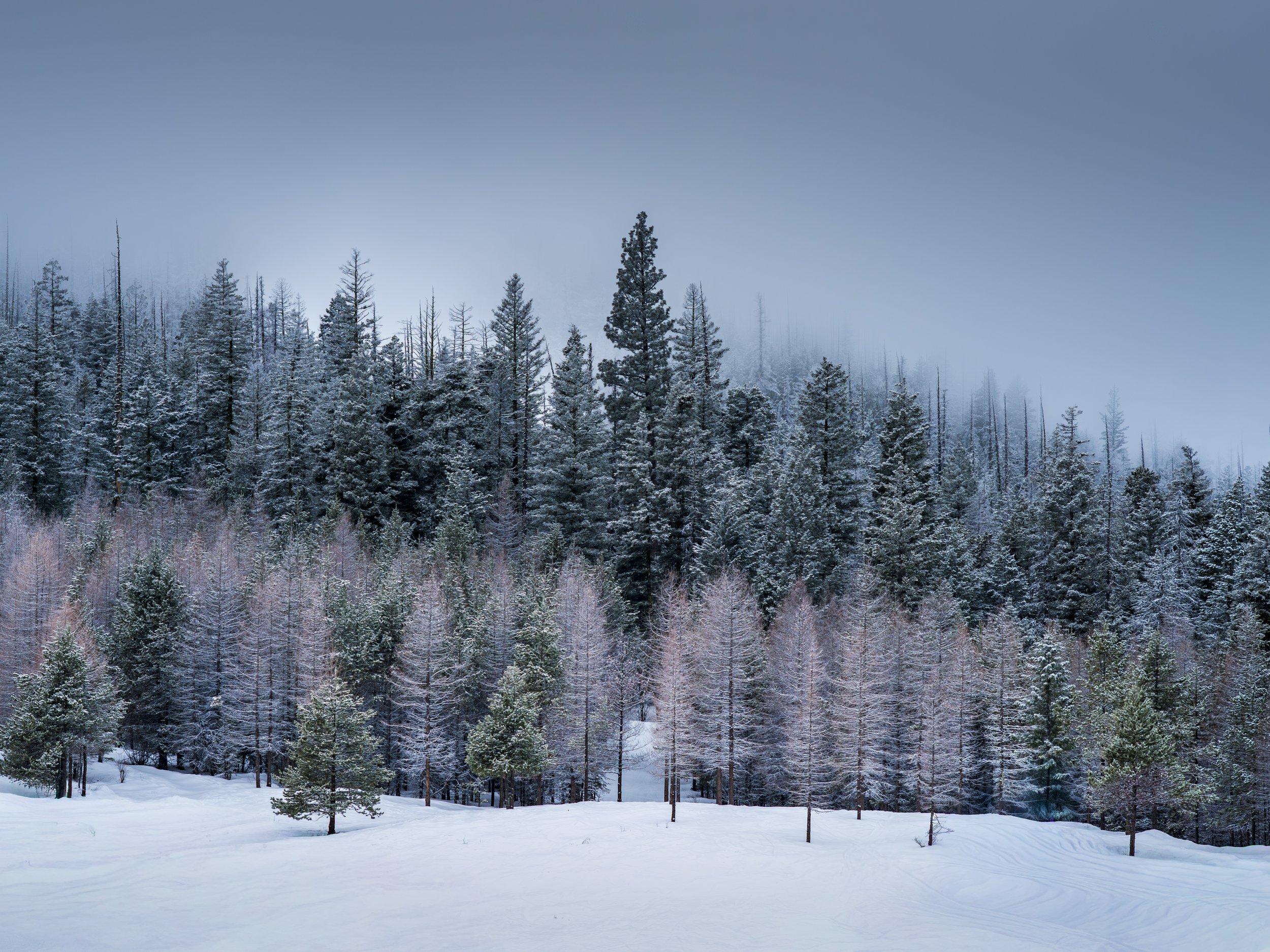 _DSC3057.jpg