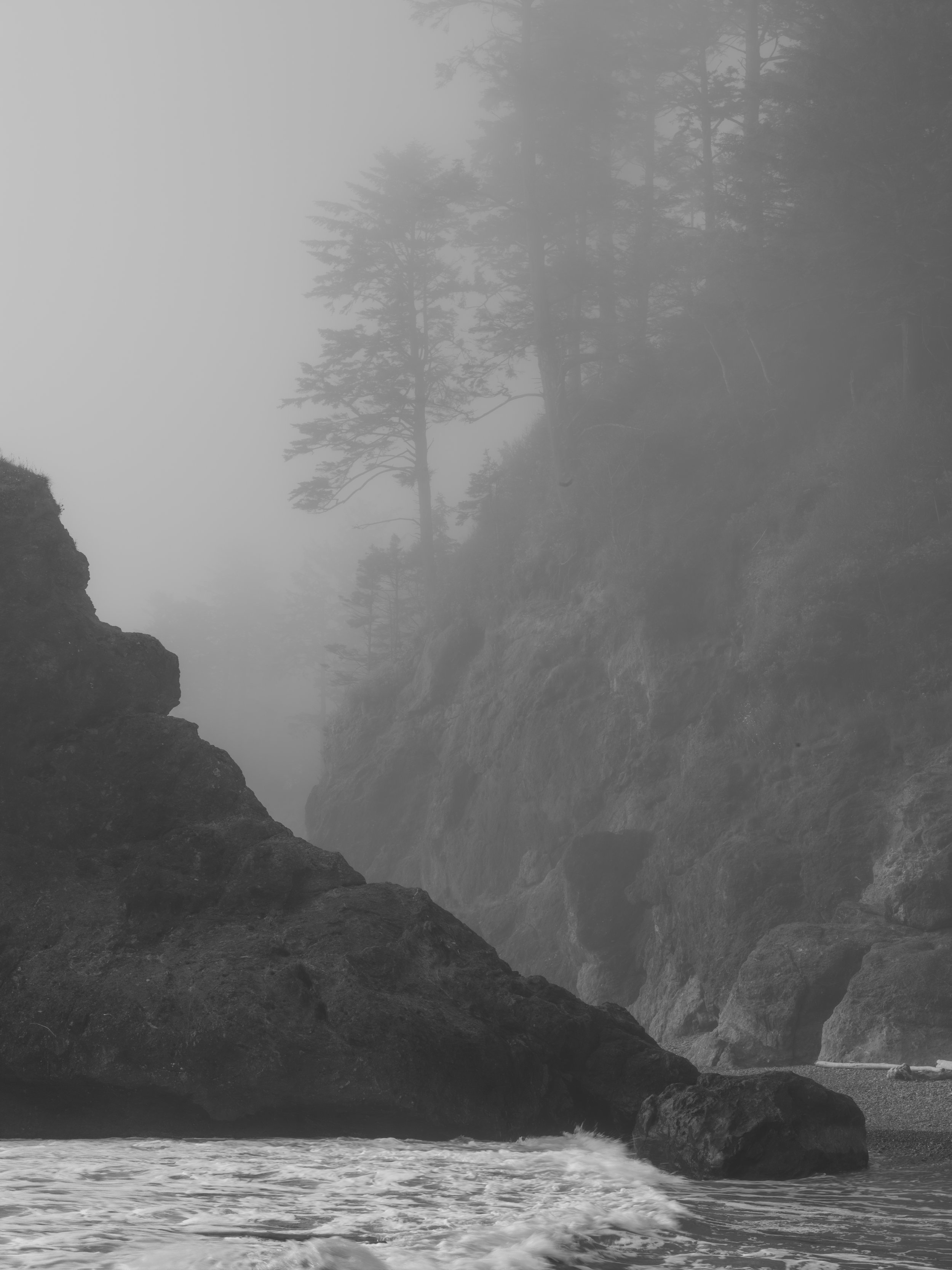 Where the mountain images commanded, this one whispers — and that restraint is what makes it so affecting.

Fog in photography is a gift when used well, and this is used very well. It doesn't obscure the scene so much as it grades it — the cliffs and