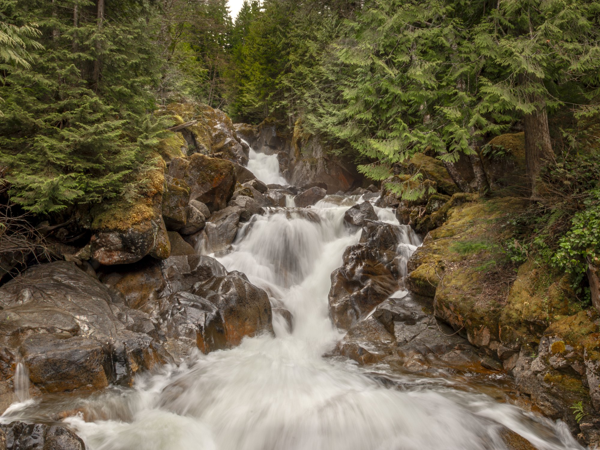 _DSC2096-2.jpg