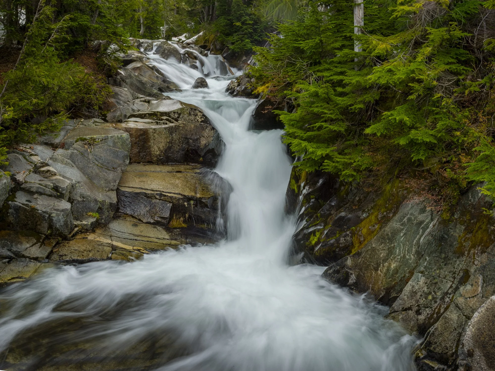 _DSC2835-Pano.jpg