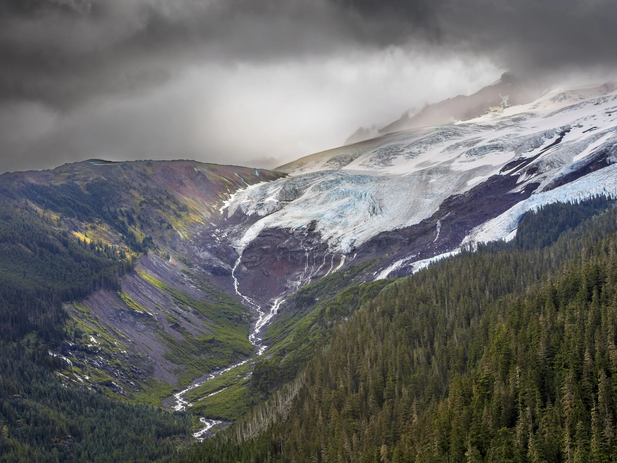_MG_3095.jpg