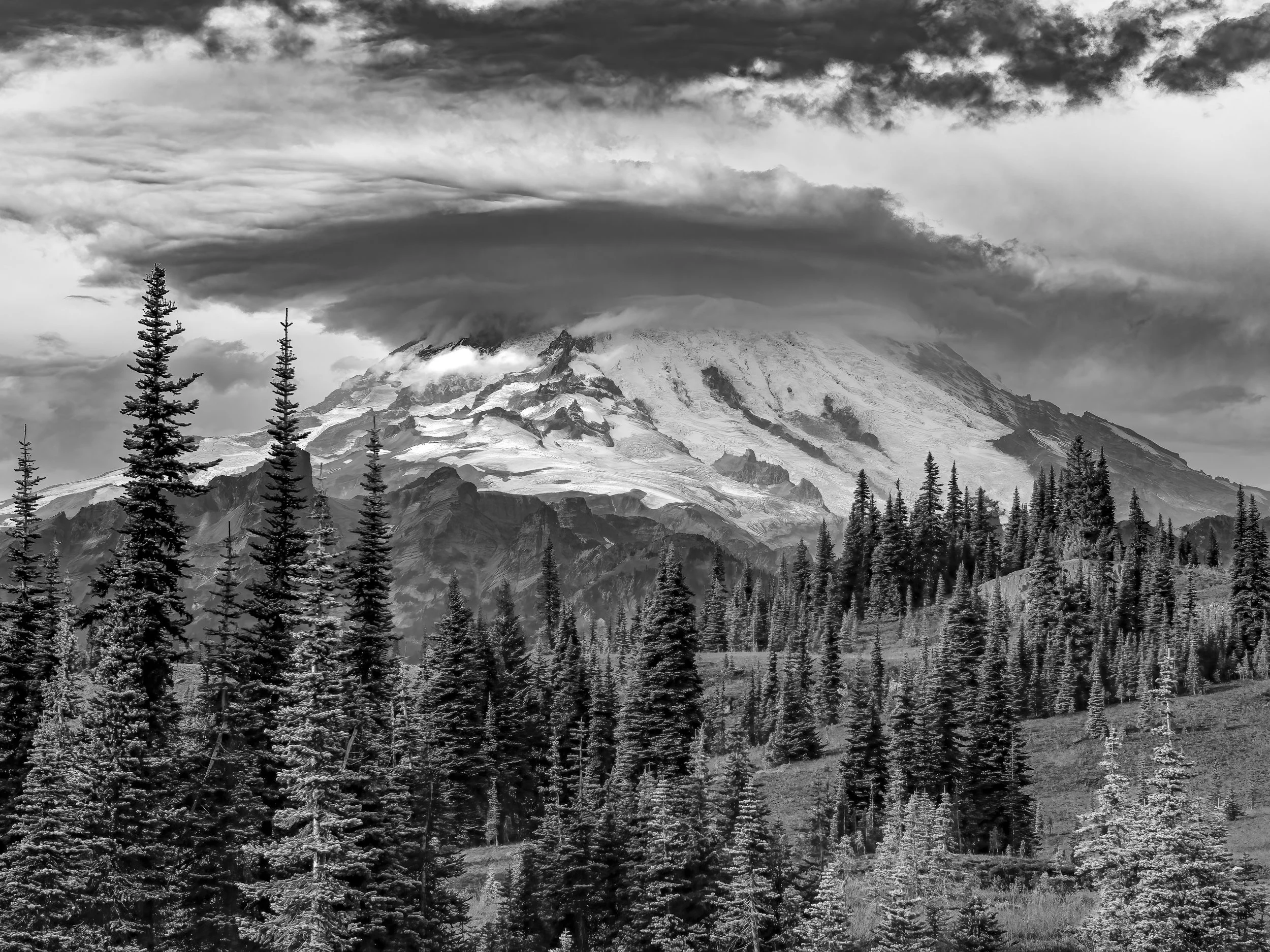 A lenticular cloud has settled over Rainier's summit and claimed it. The cloud is perfectly formed — lens-shaped, smooth on its lower surface, billowing on its upper edge where it sheds into the larger weather system building behind the mountain — an