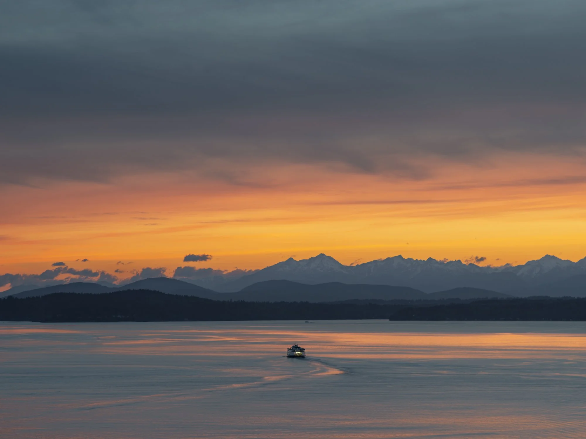 _DSC2093.jpg