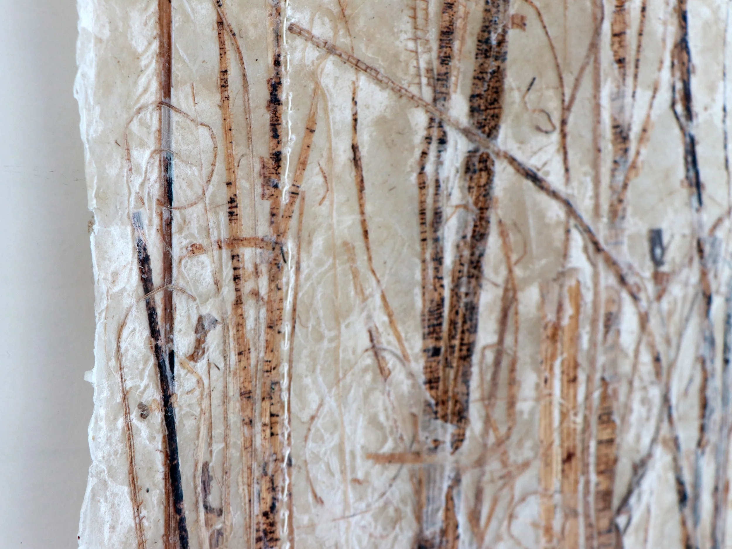 With your hands, 2026 | Handmade paper collection made from abaca pulp and embedded with banana leaves from my backyard in Waikoloa, pressed by my mom (grown by dad), thread, beeswax 