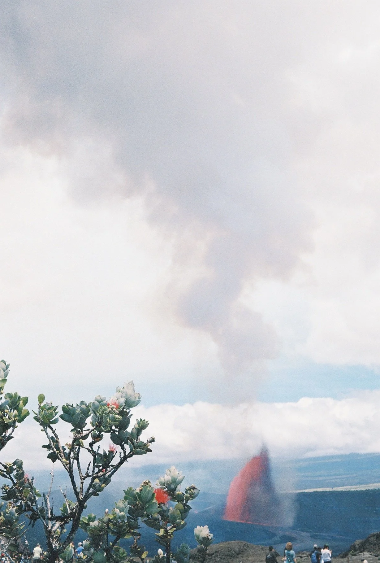 R1-07732-028A.jpeg