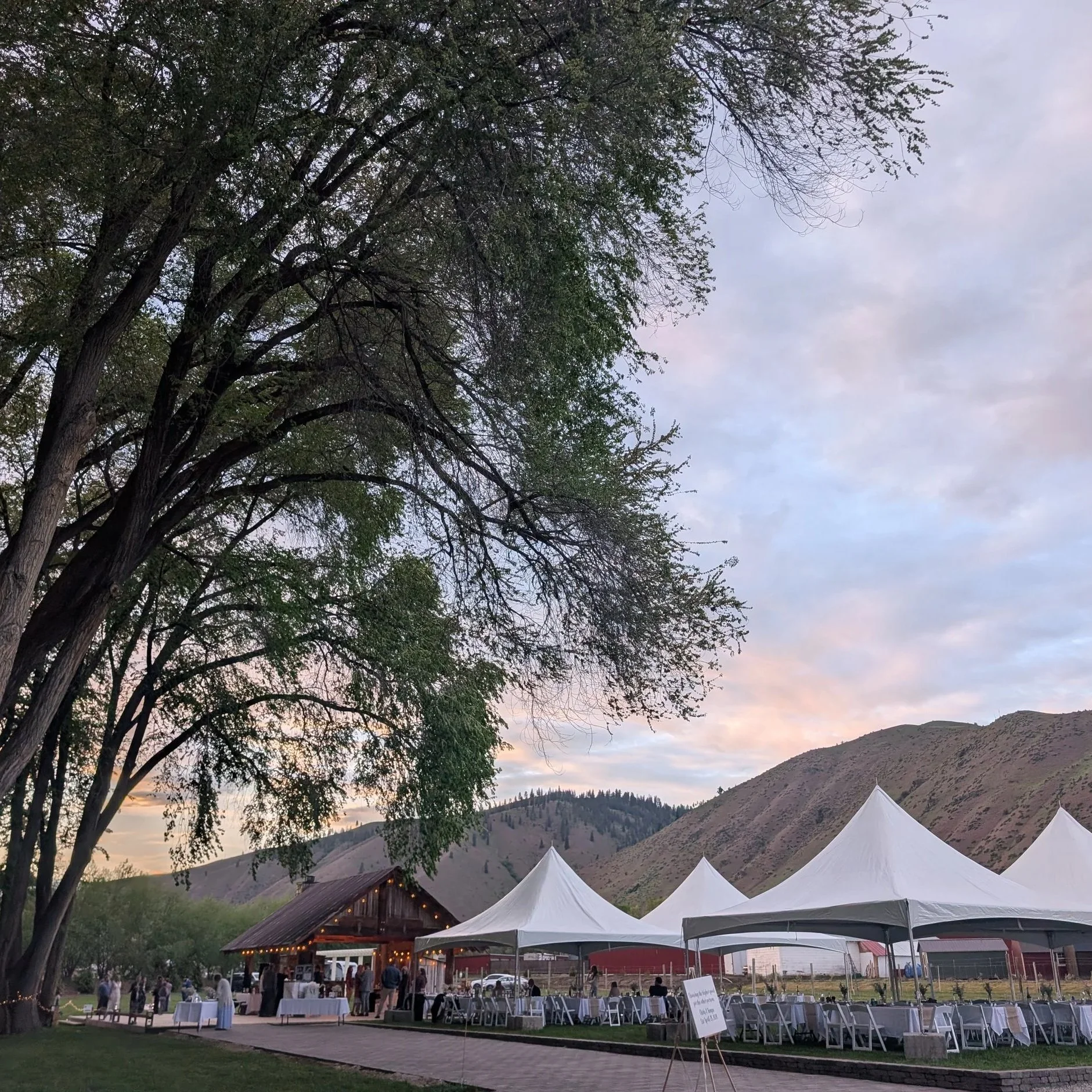 Outdoor event space with white tents and string lights at dusk, surrounded by trees and mountains.