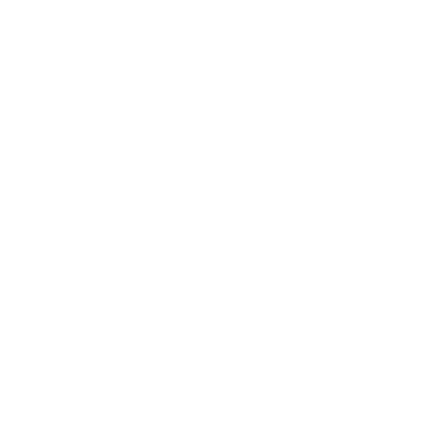 Bass PLLC