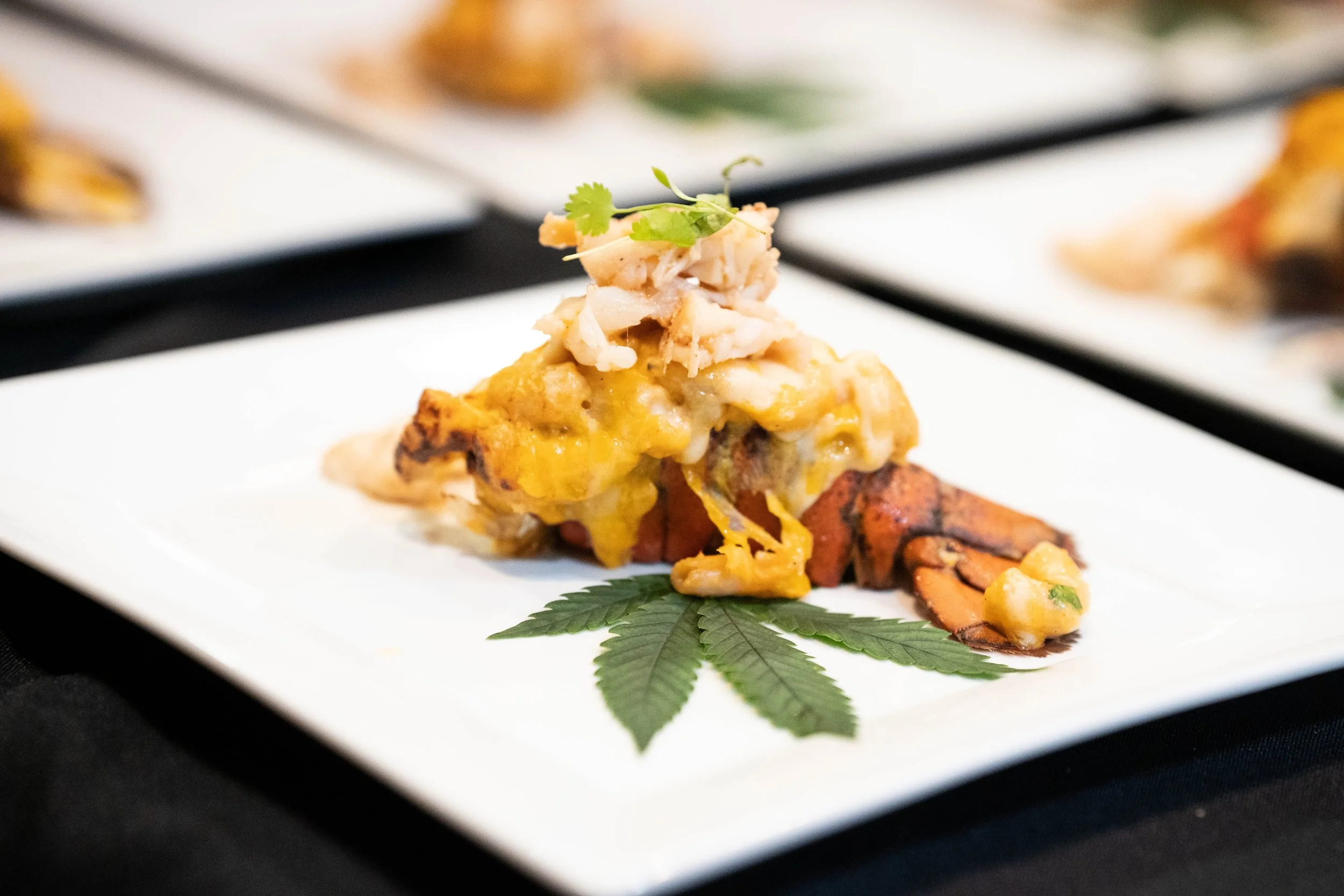 Smoke & Silk Elevated Dinner Experience - Single Ticket