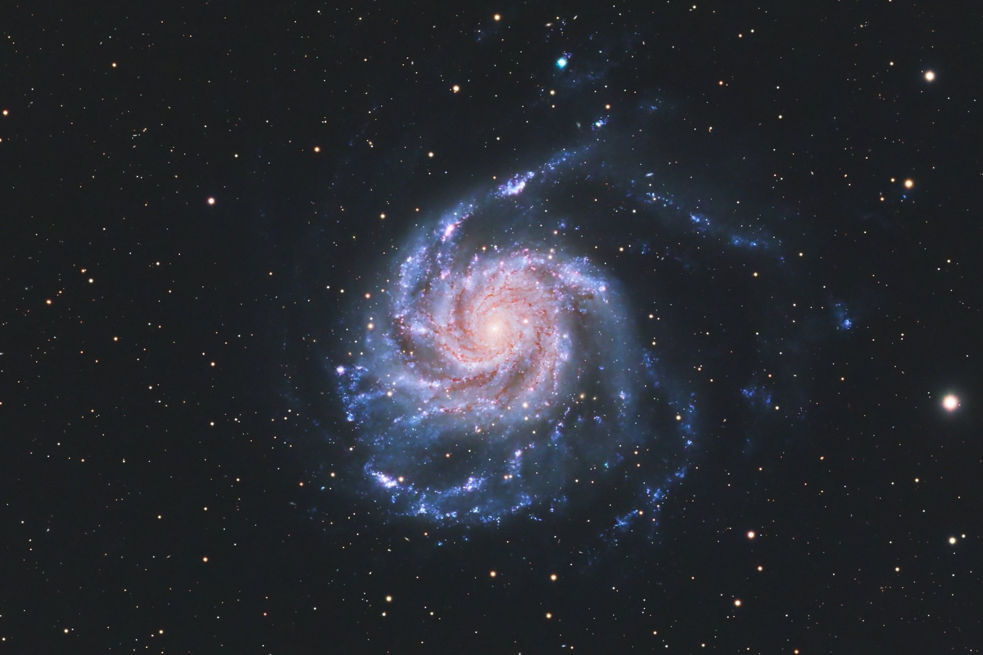 m101.jpg