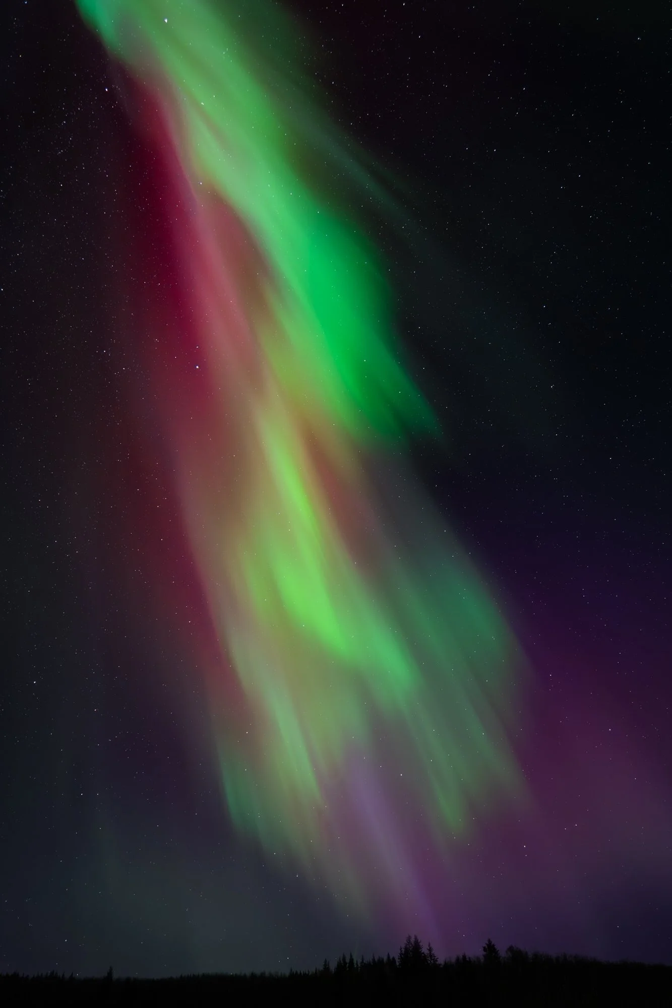 P1536275-Enhanced-NR-Edit.jpg