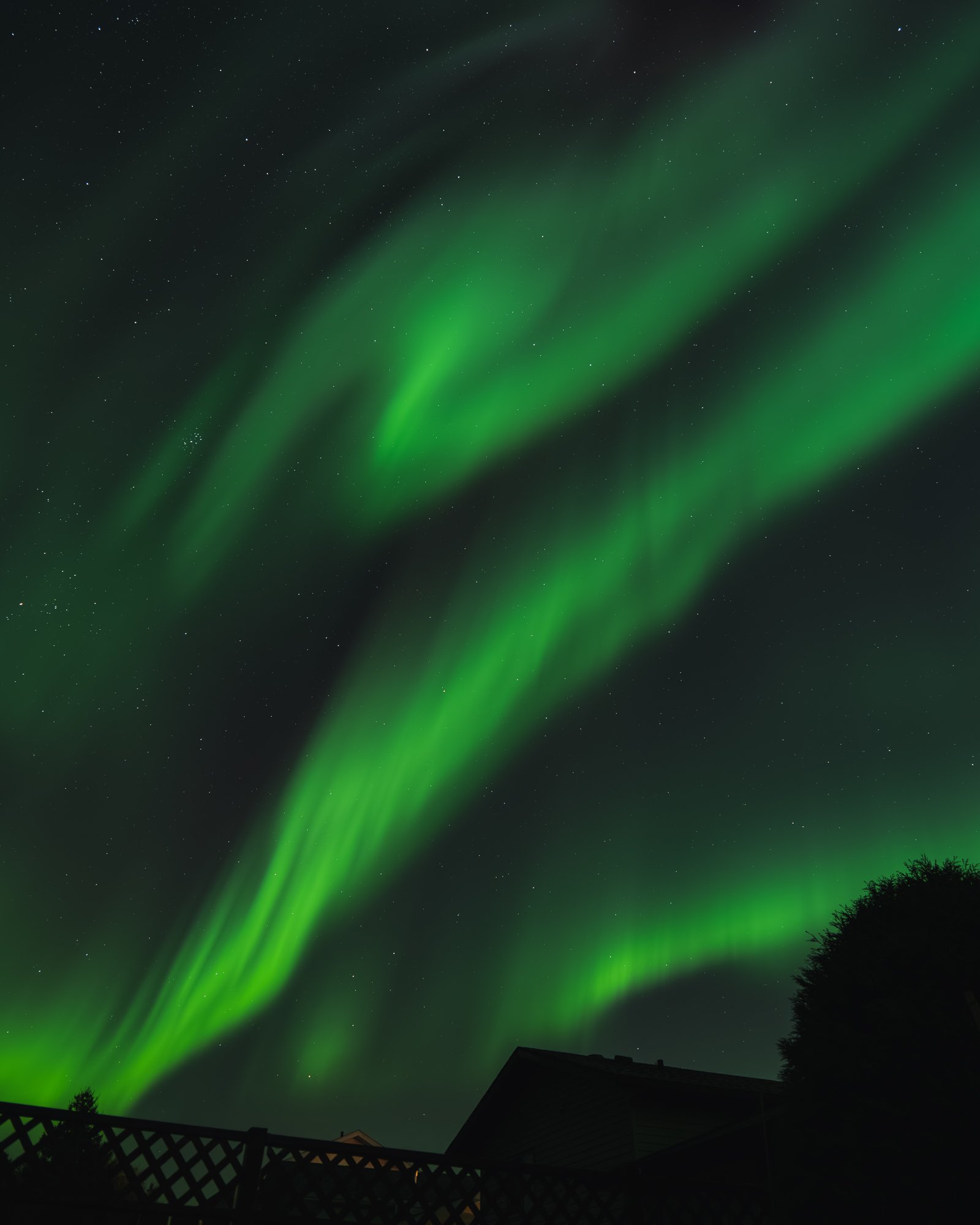 P1536556-Enhanced-NR.jpg