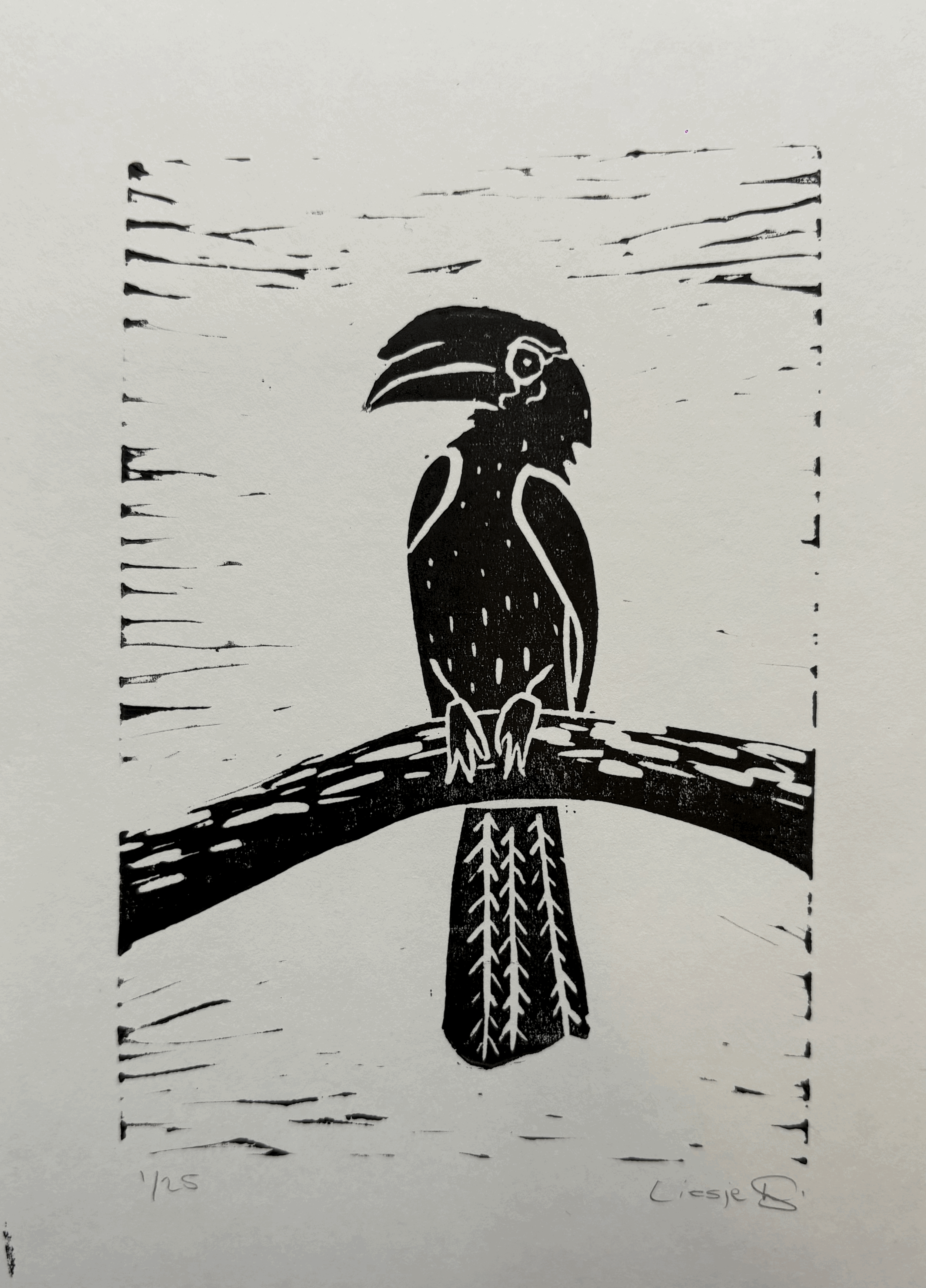 Hornbill