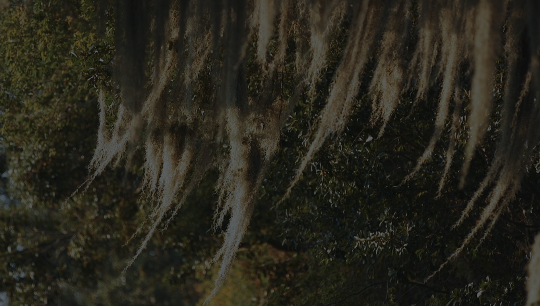 Screenshot 2026-04-29 at 10.42.33 AM.png