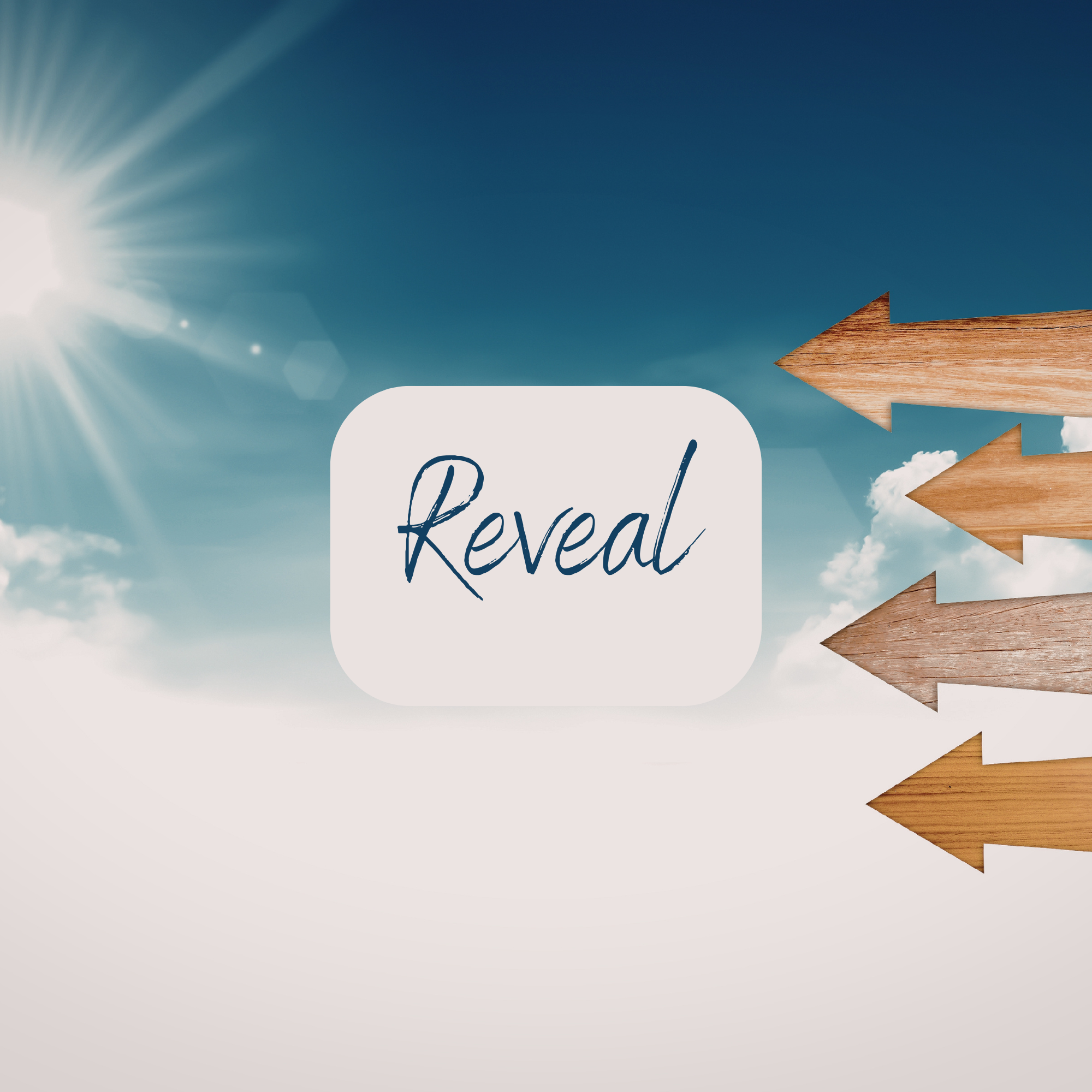 Reveal: The Clarity Coaching Session
