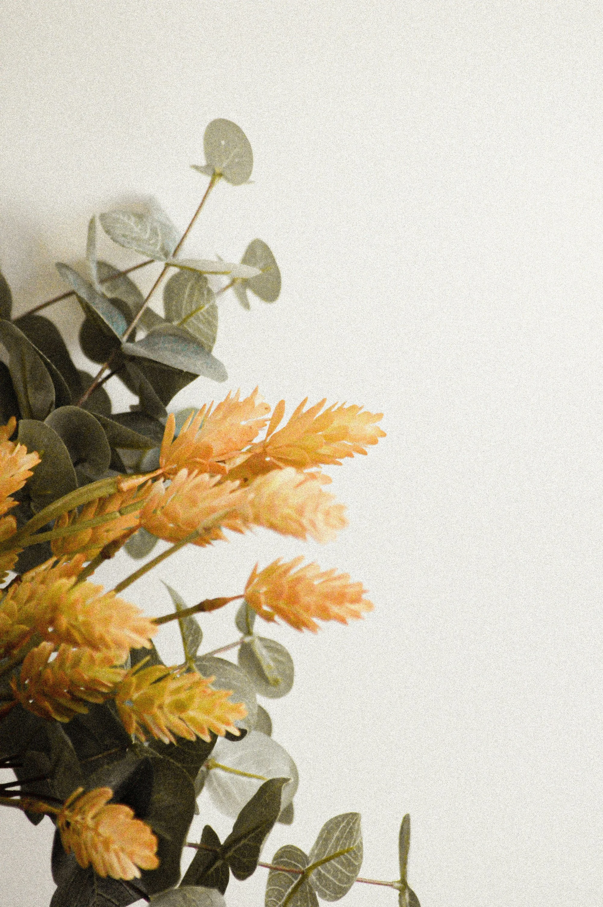 Soft botanical peach