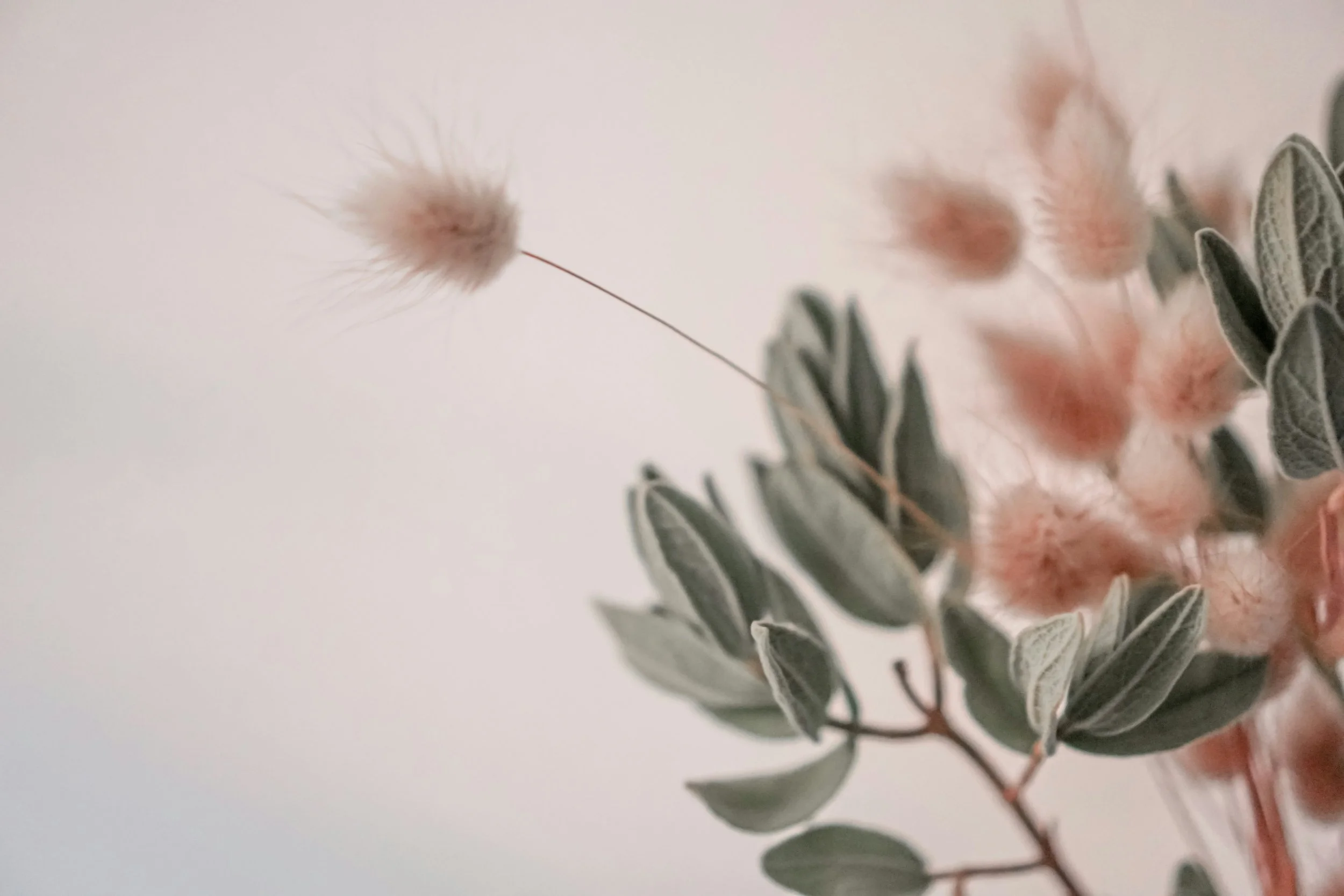 Soft blush botanical floral arrangement