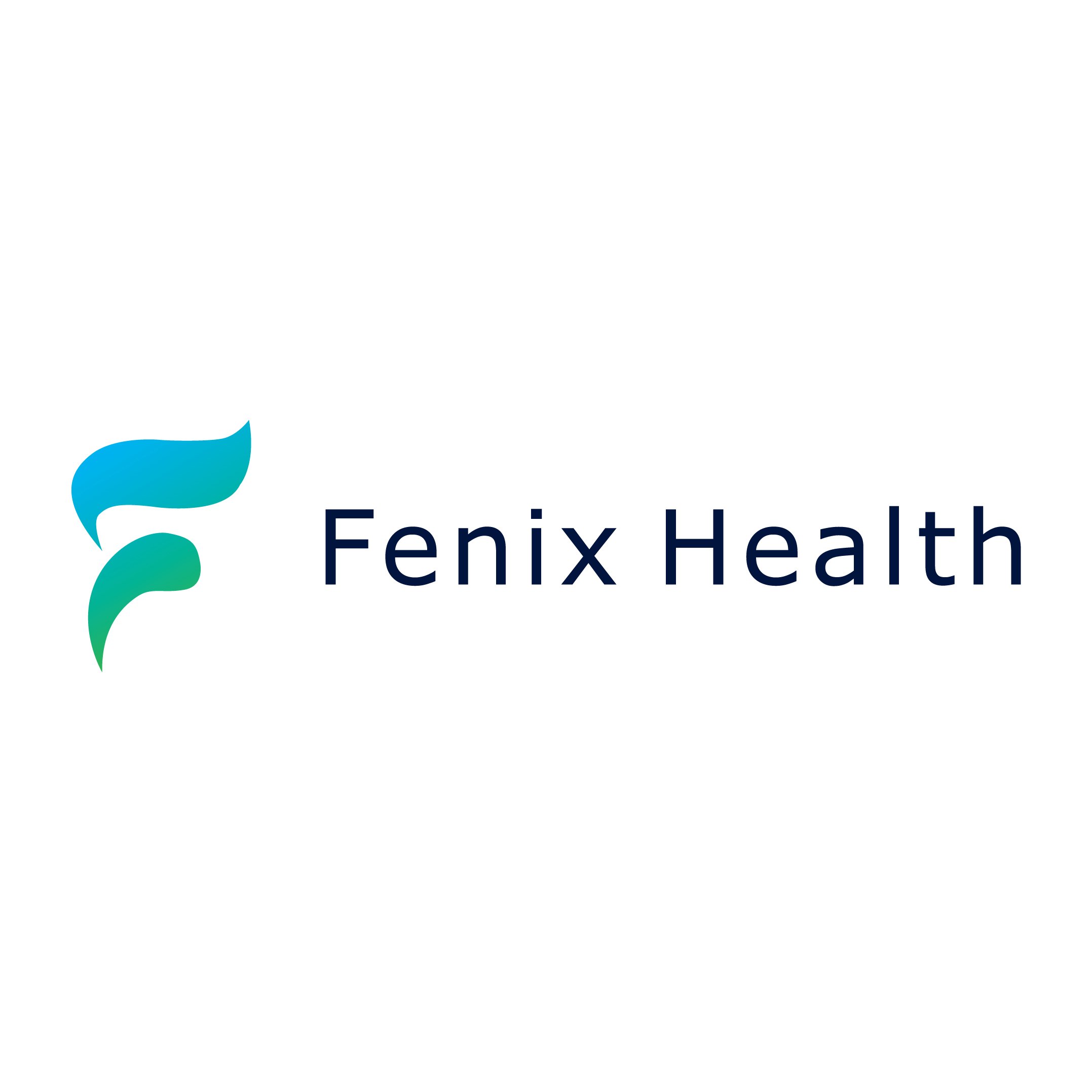 Fenix Health branding project featuring professional logo design, healthcare visual identity and modern medical branding by BKK Creative Studio