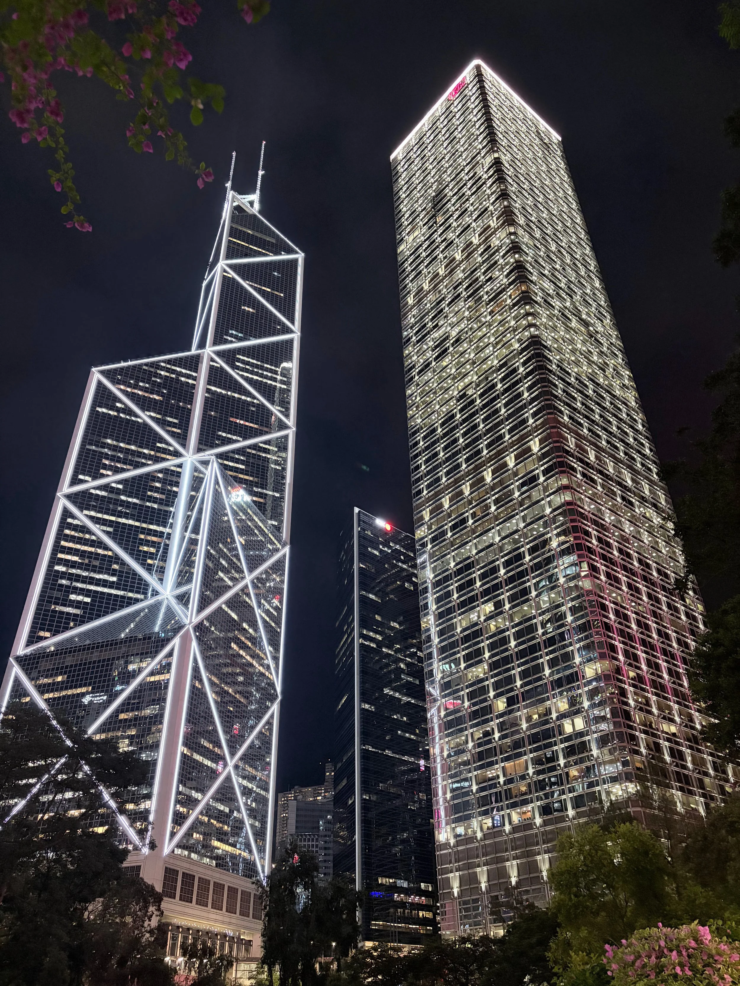Night view of tall illuminated skyscrapers in downtown city, with trees and pink flowers in the foreground.