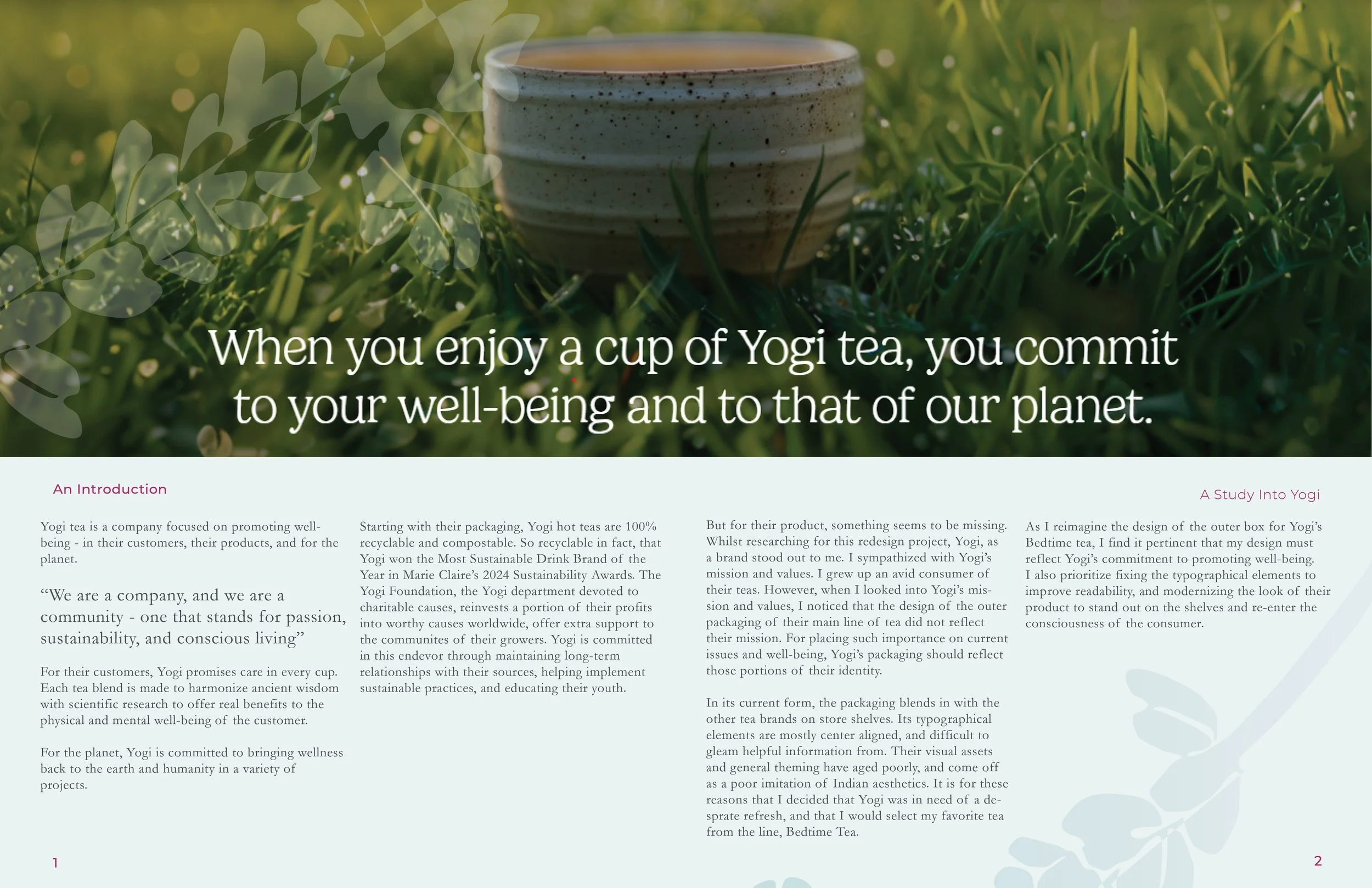 Product Redesign Booklet images2.jpg