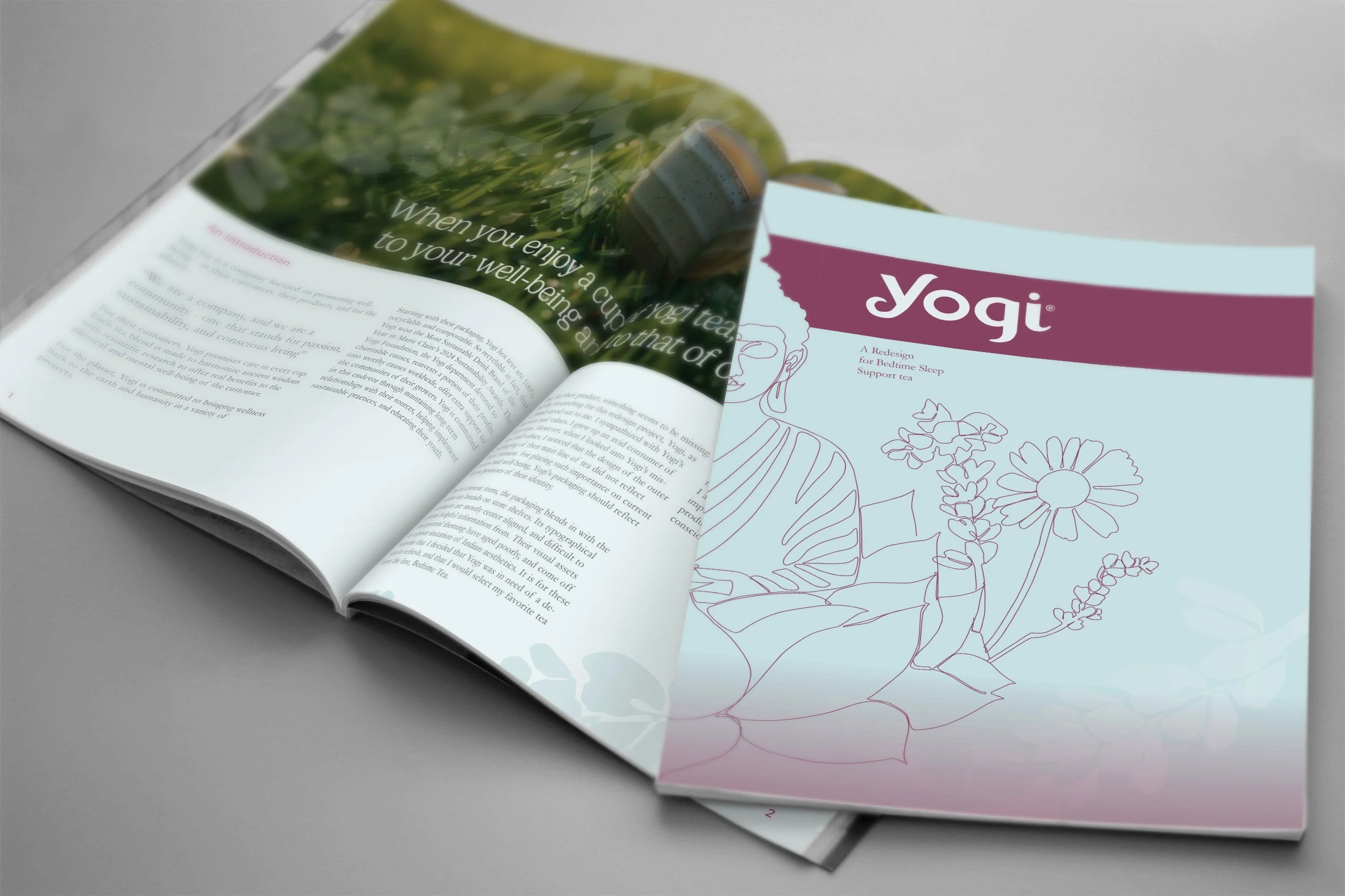 Booklet Mock up.jpg