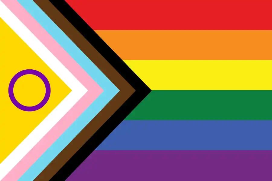 LGBTIQA+SB Counselling