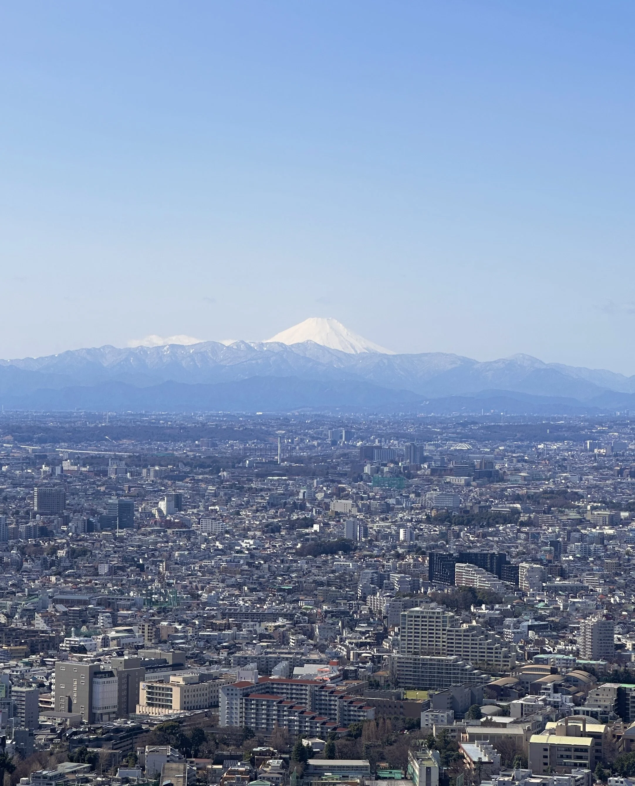 A cityscape with multiple buildings and skyscrapers in the foreground, a mountain range in the middle ground, and a snow-capped mountain in the background under a clear blue sky.