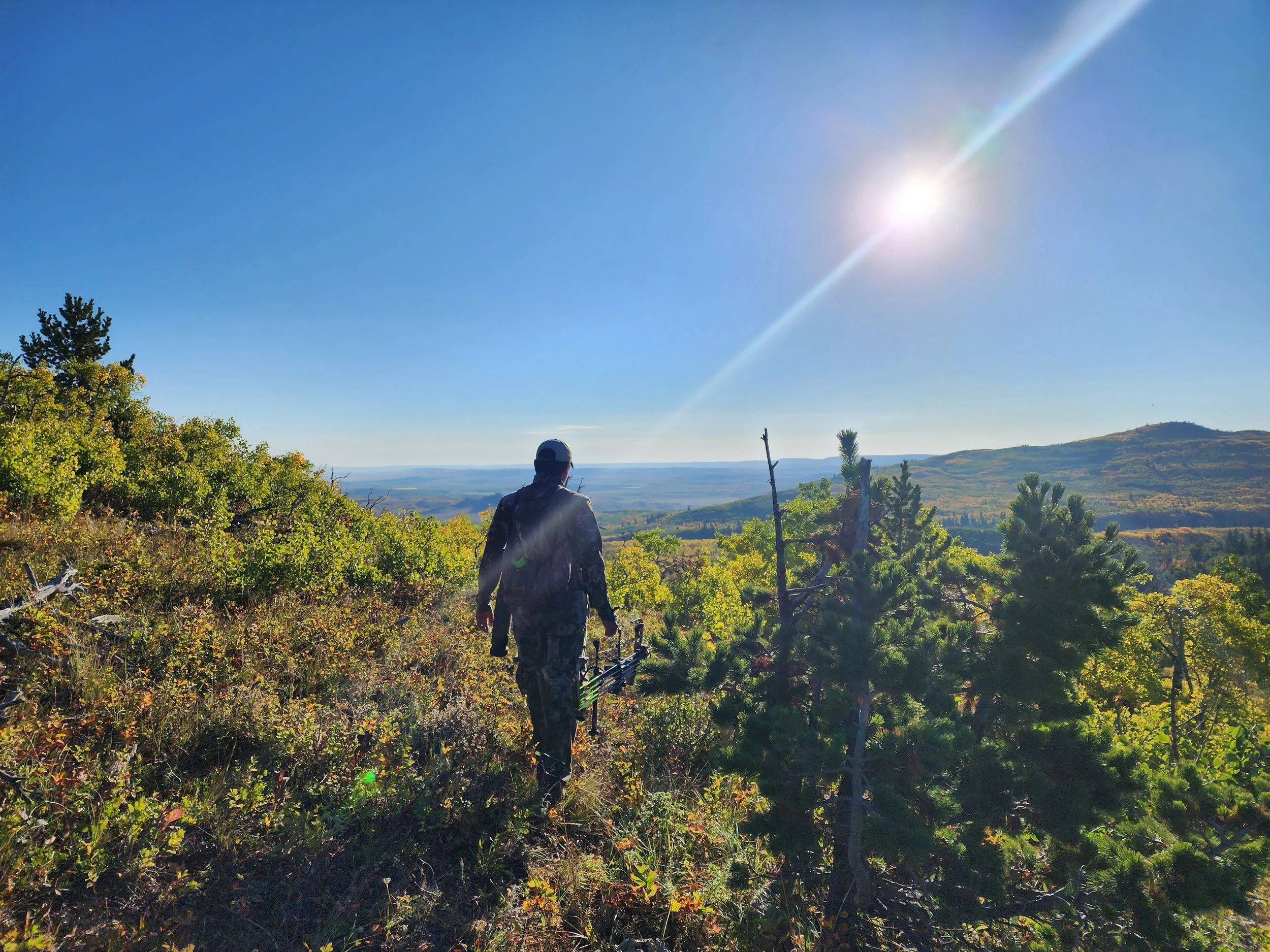 A person in camouflage clothing walking on a trail through a green forest near a hillside under a bright blue sky with the sun shining brightly.