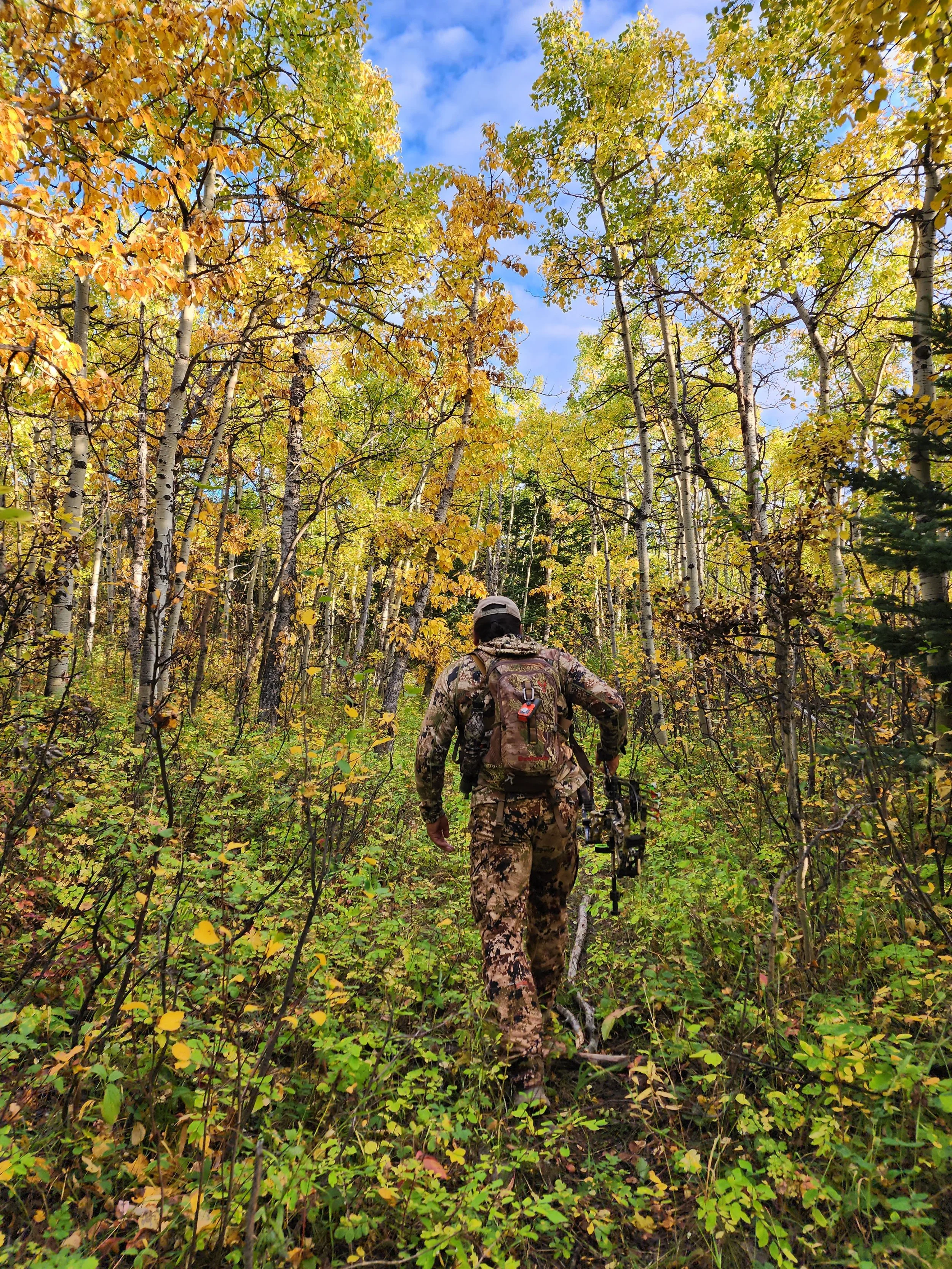 A person dressed in camouflage clothing and carrying a backpack is walking through a dense forest with yellow and green autumn leaves on trees under a cloudy sky.