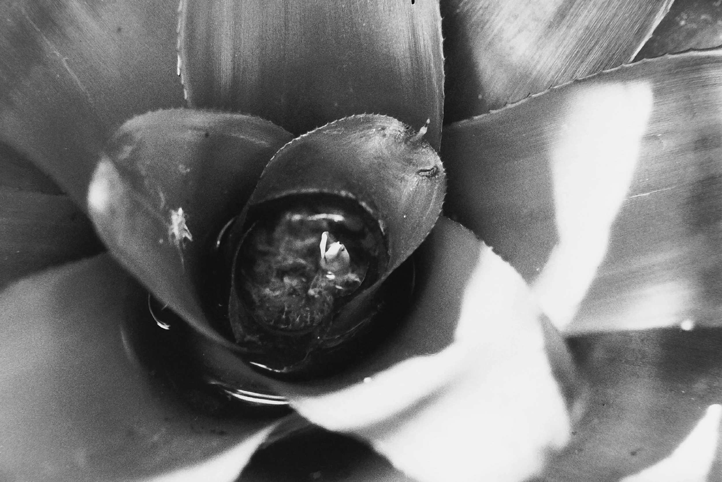 PICT0451.JPG
