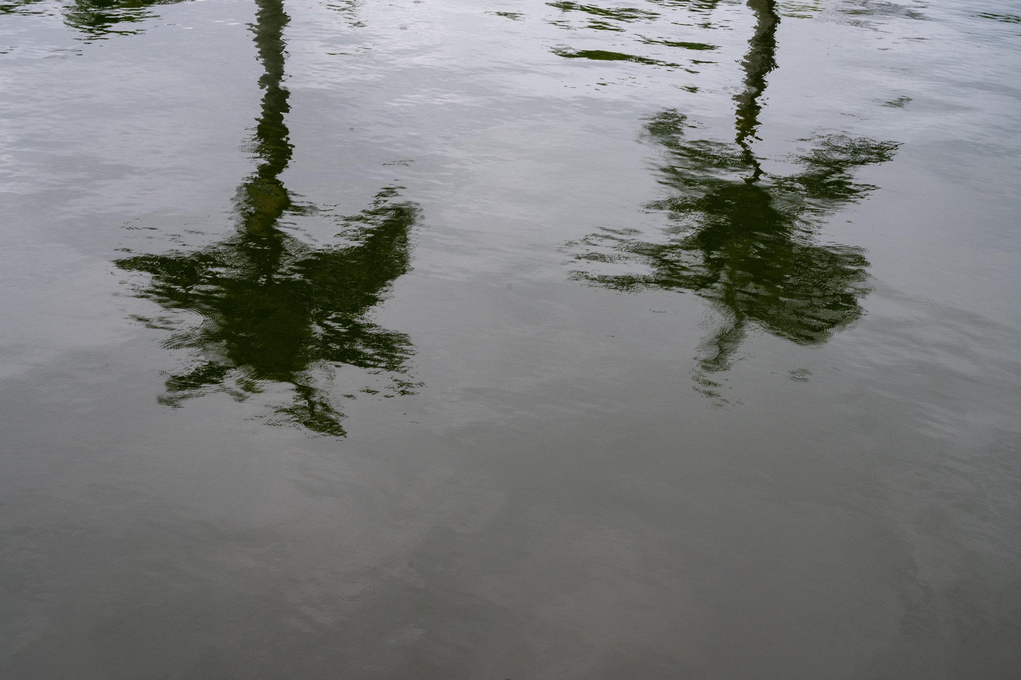 DSC_1094.opt.jpg